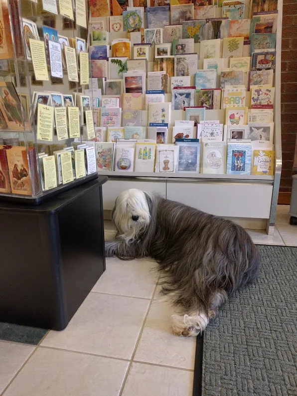 Lily+in+Gift+Shop.jpg