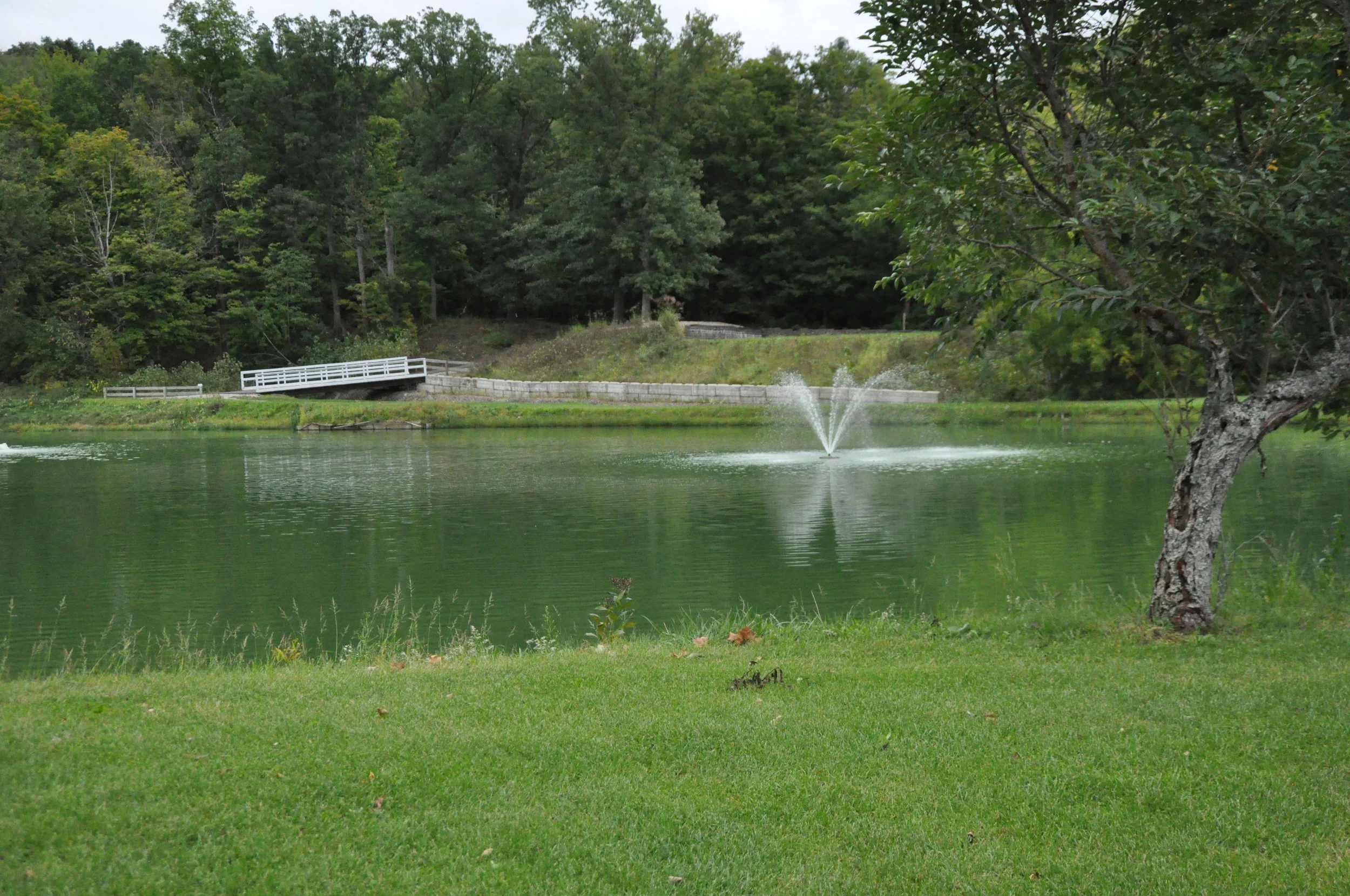 DSC_0003.JPG