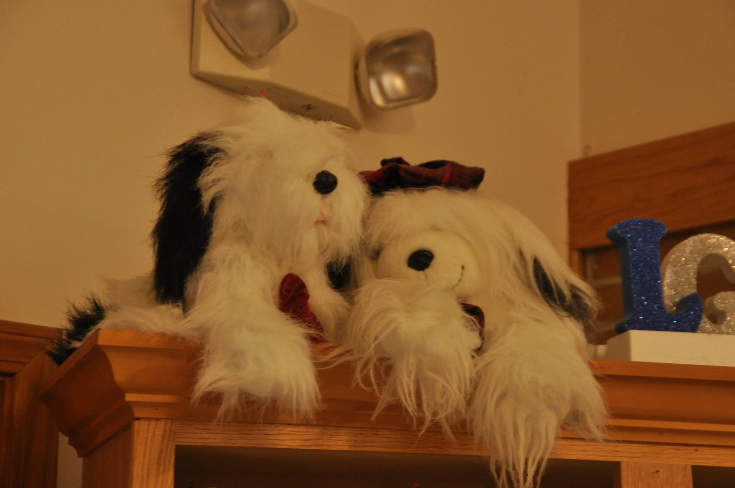 Lily Ann Grace Gift Shop now offering Gift Certificates!