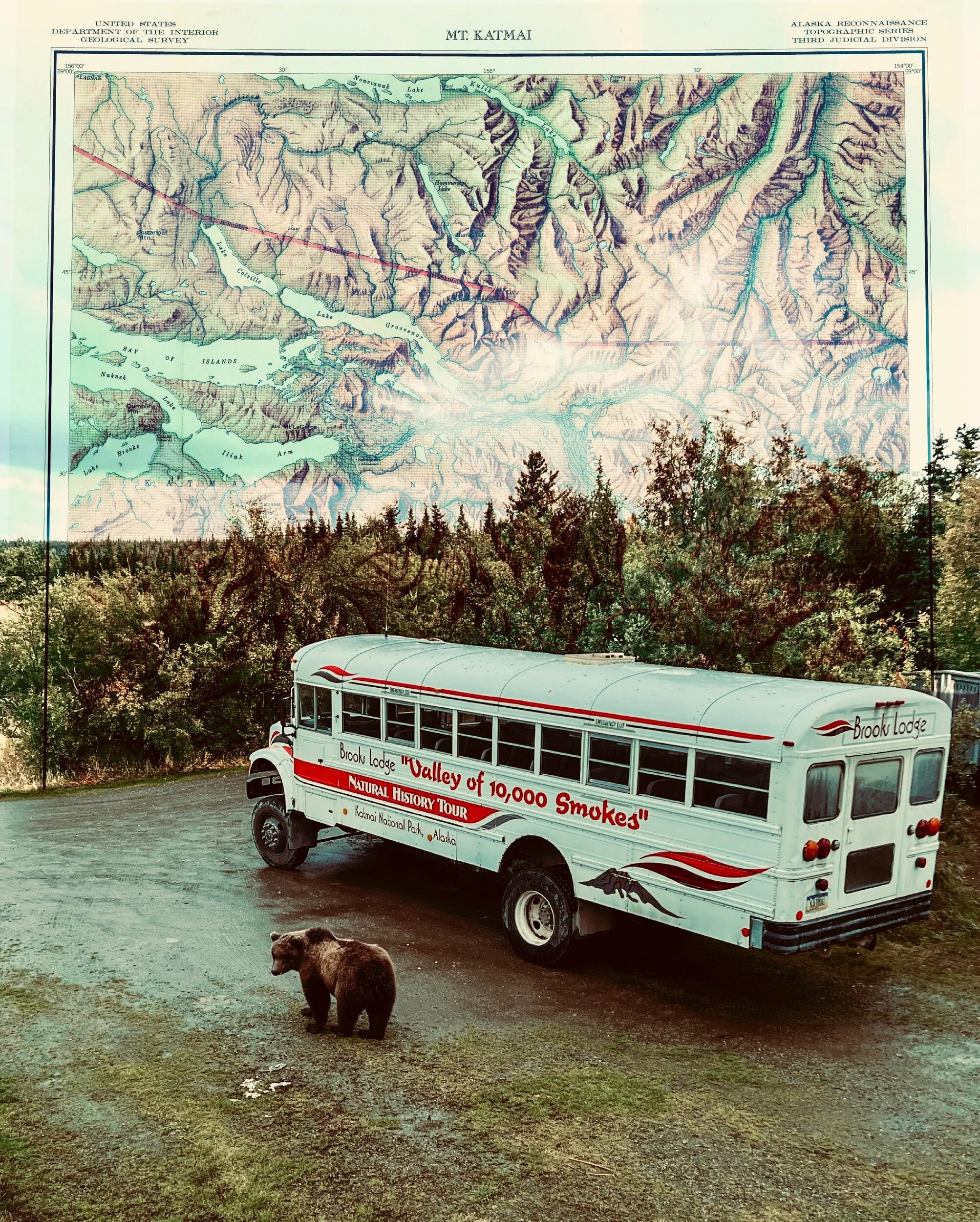 45D811D8-AB72-4764-A4B8-7354520917DE