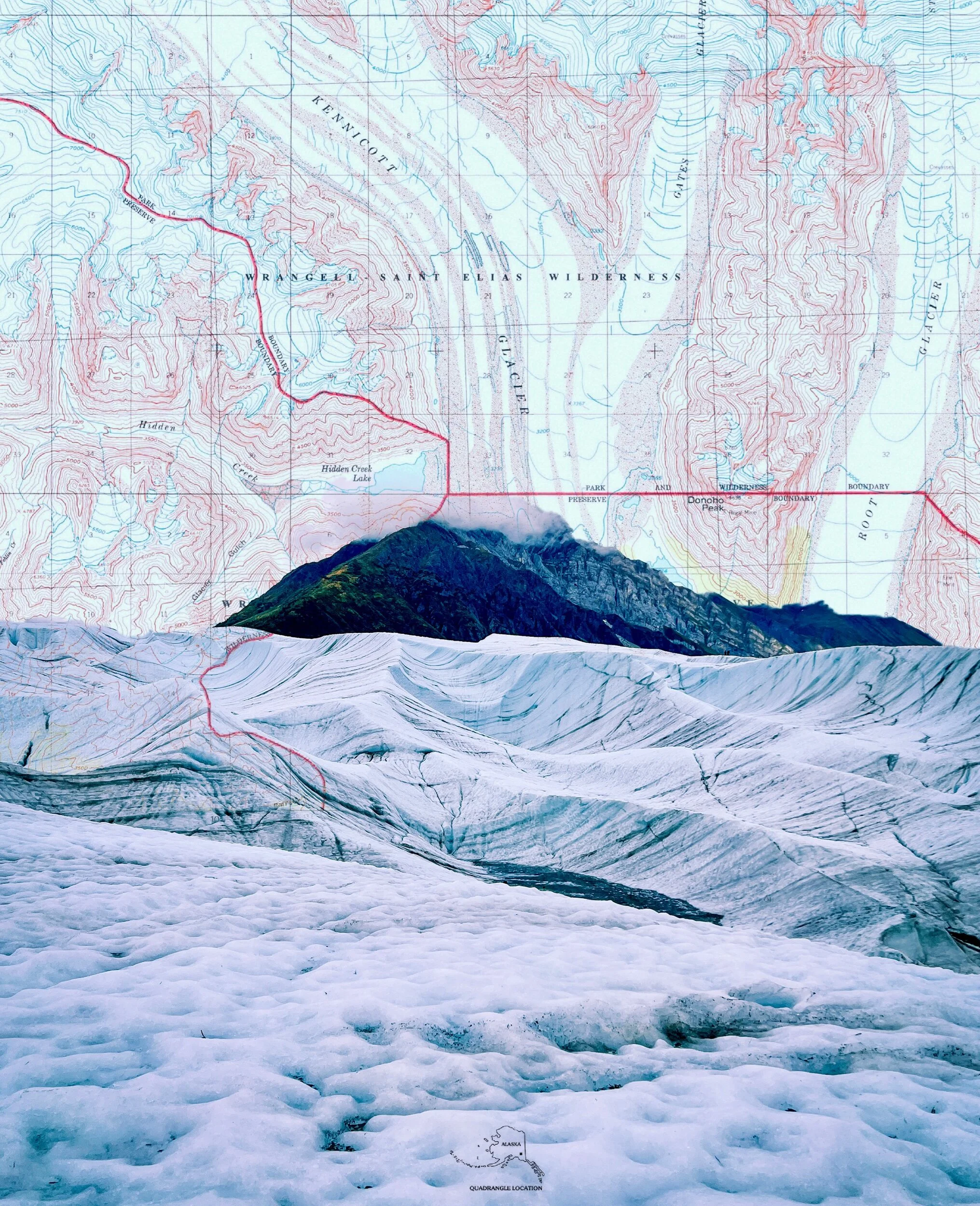 D281ADF7-F3EA-4E81-84ED-97E148C18EA2