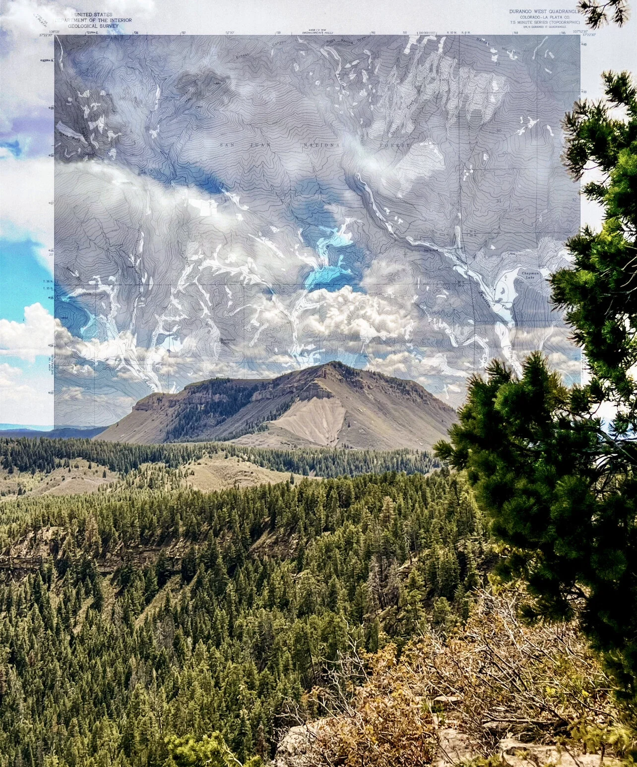 C3383D7E-4E0E-419B-8D16-1F235BABE76E