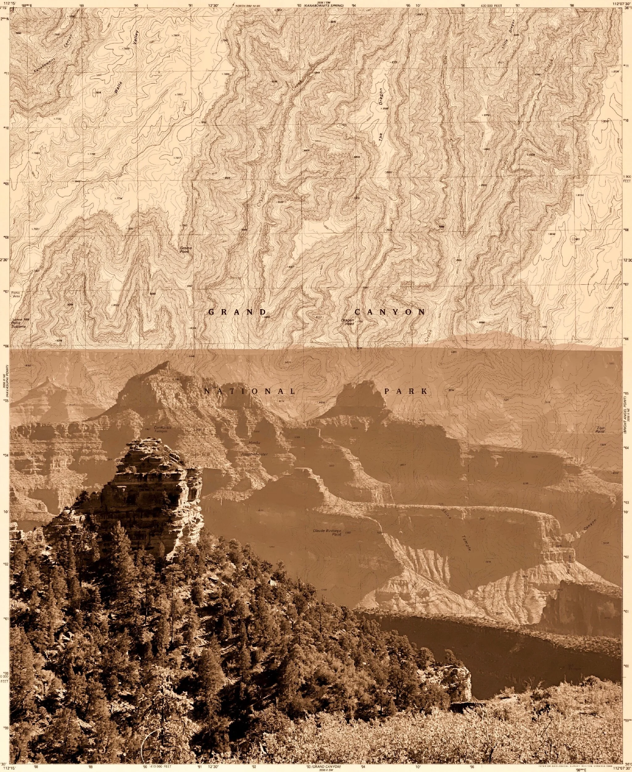 CAB19ABB-D56E-4C9D-AEE0-497F6E62C565