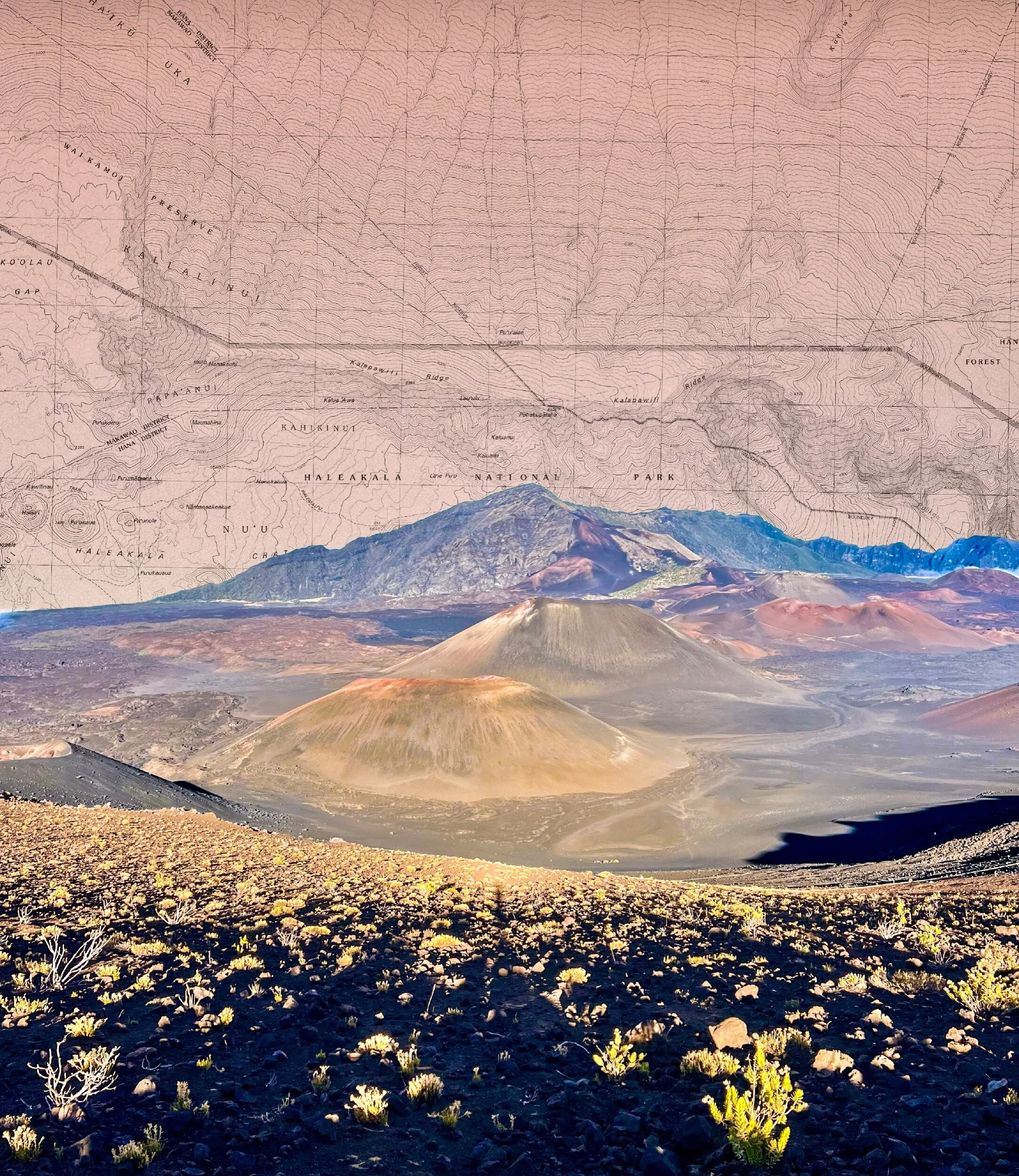 46A7B8F7-644B-4C53-B0E3-2AA1D7A6F524