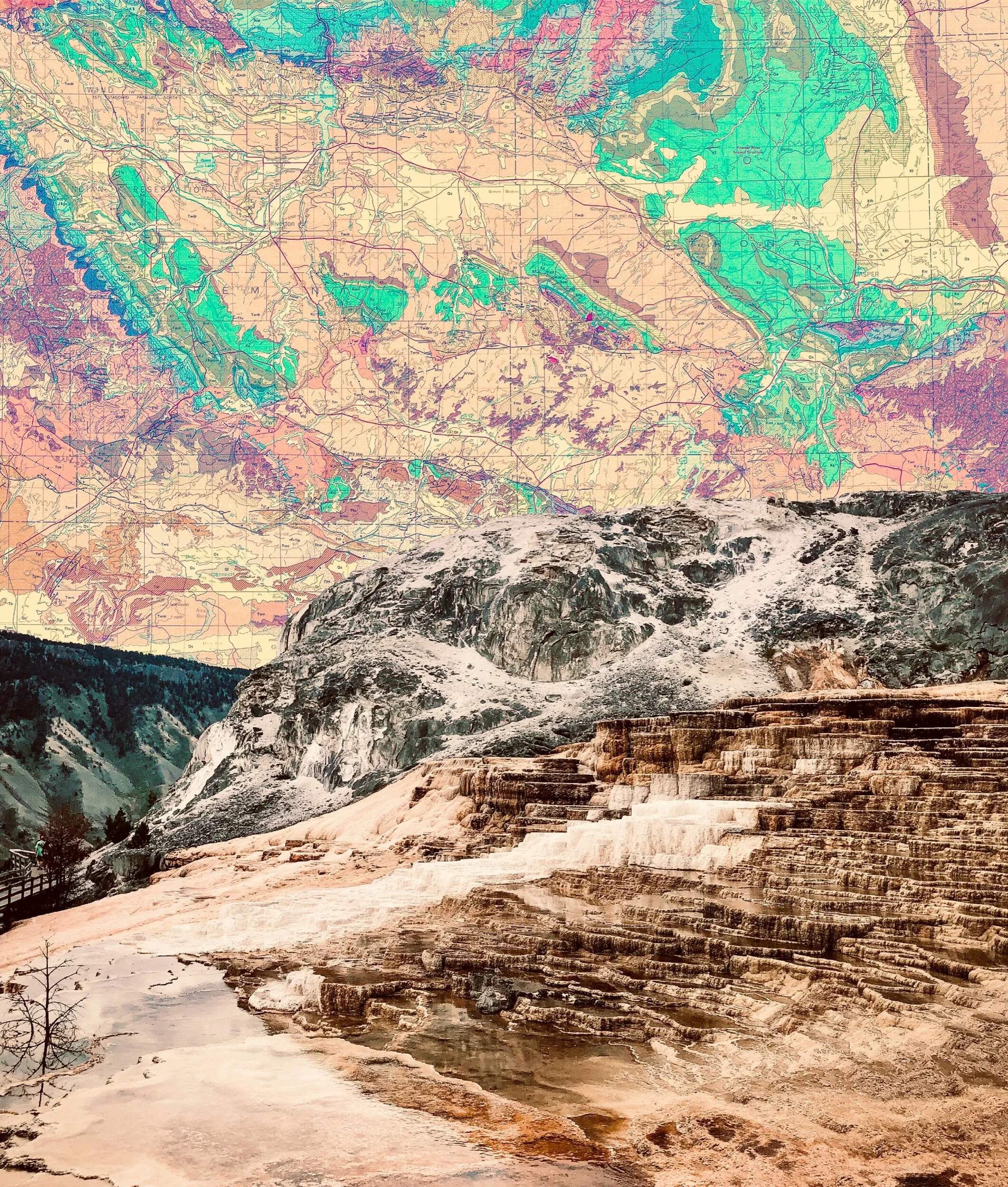 E8F44DC5-A71B-4D1F-8C9F-7353AC84DEC3