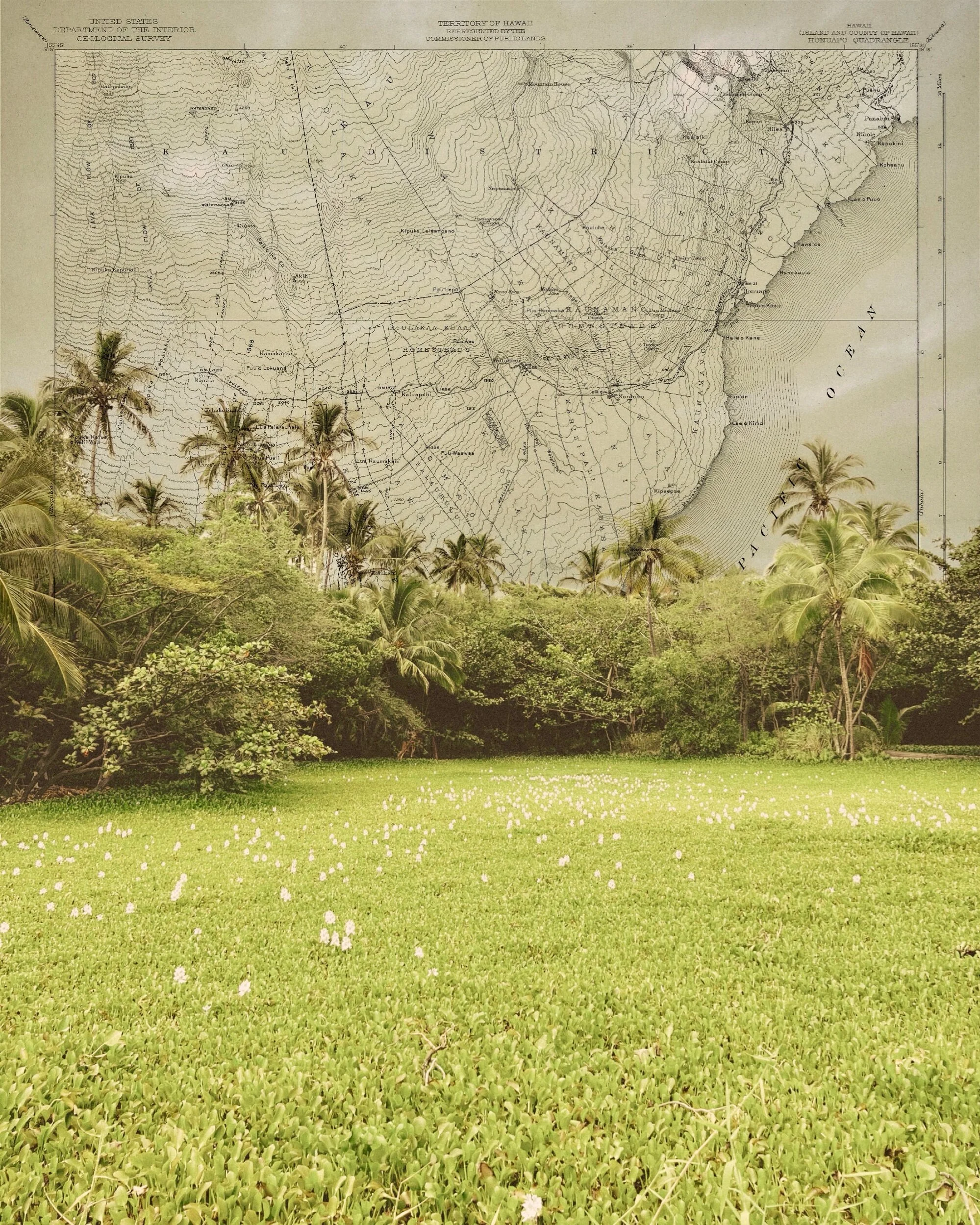 4C0E75D1-6B61-41A6-9928-4ACD395D2843