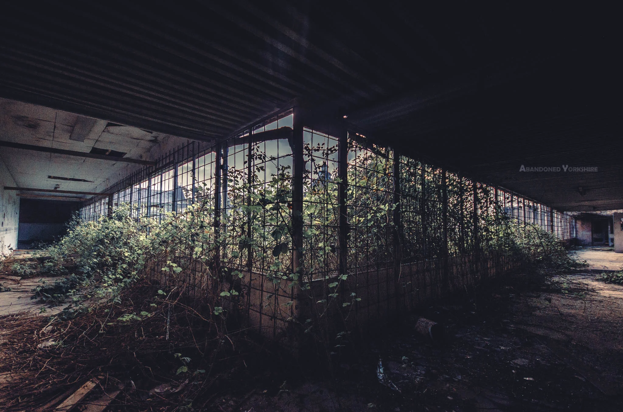 DSC_1094.JPG