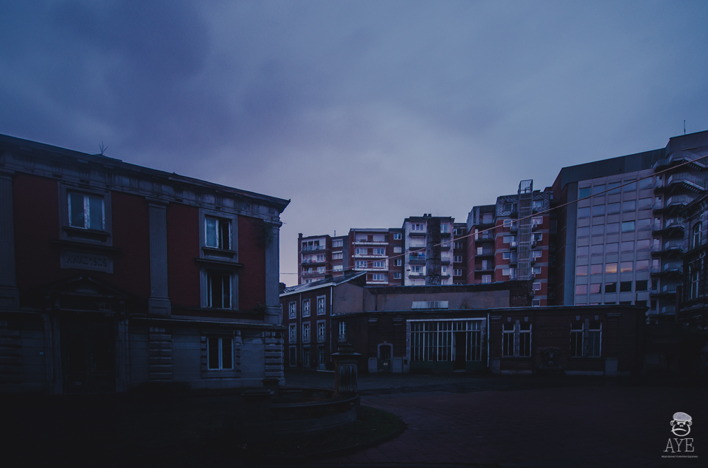 DSC_2385.jpg