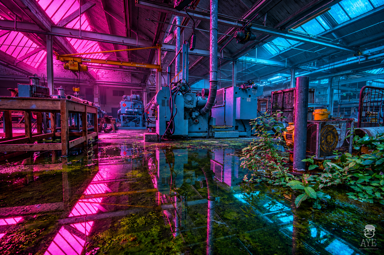 A3 Neon Collection 04
