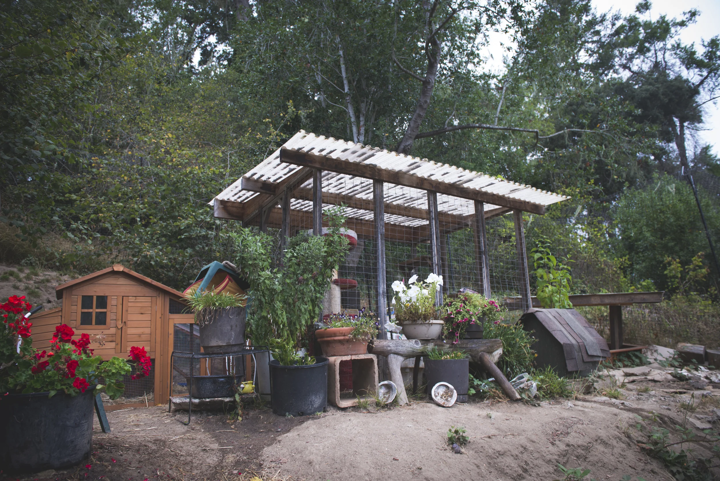 Enclosure