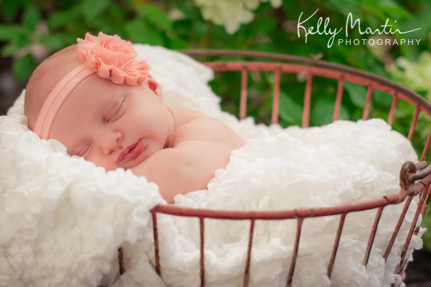 Landrigan's Newborn - Lucy-103.jpg