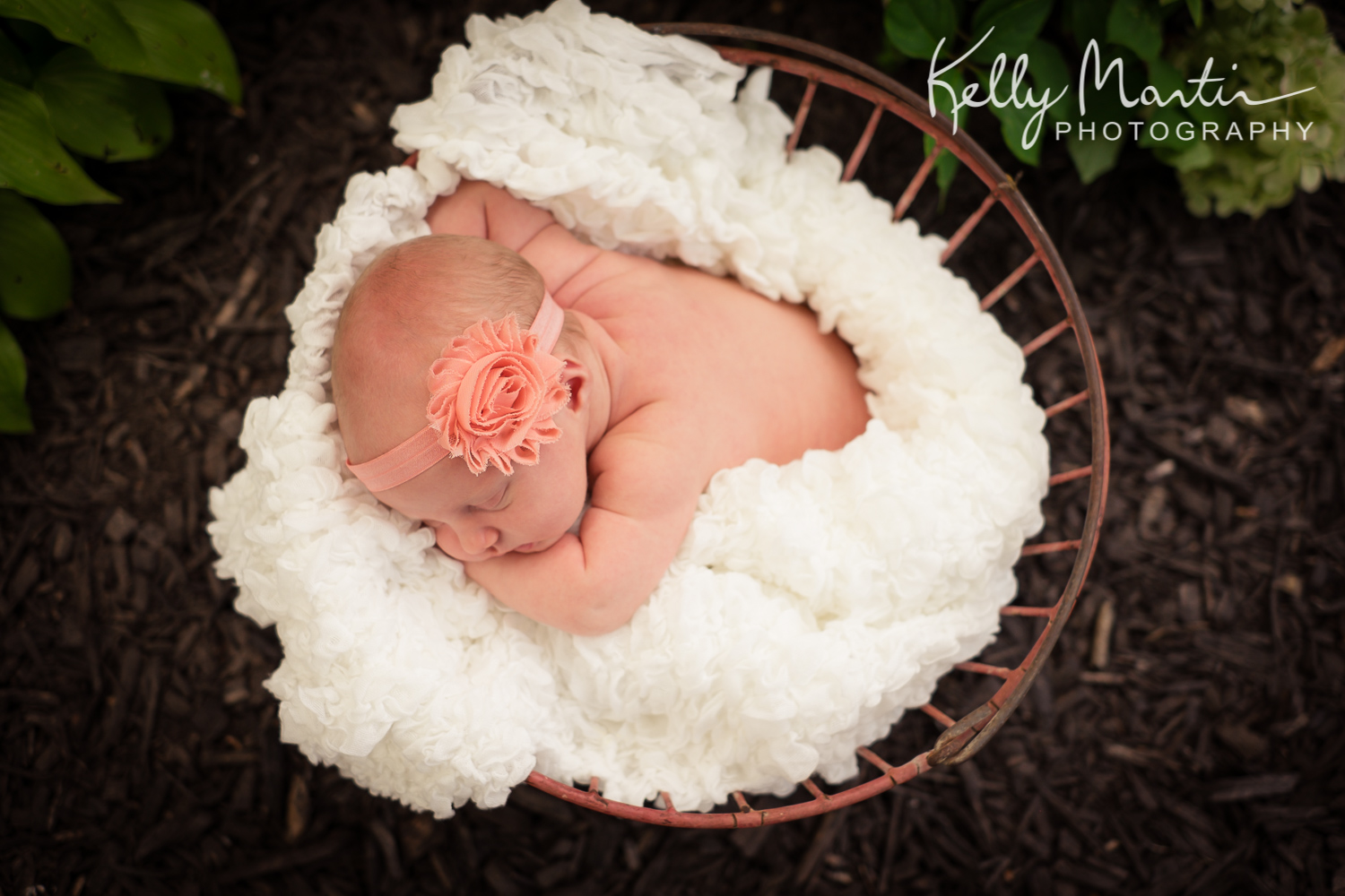 Landrigan's Newborn - Lucy-104.jpg