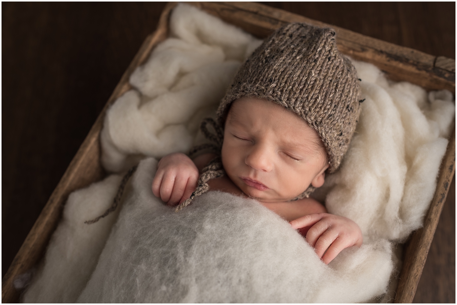 Indianapolis Newborn Photographer