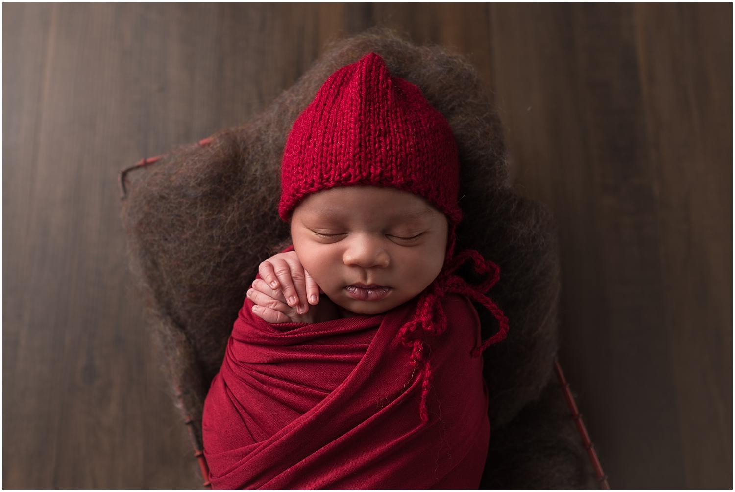 Indianapolis Newborn Photographer