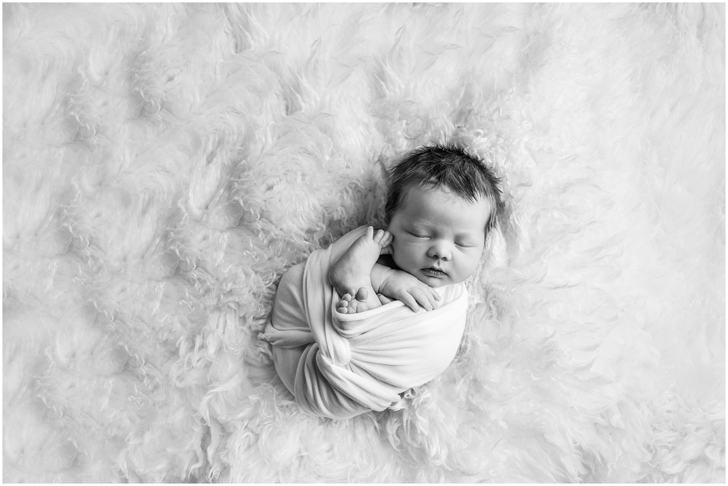 Indianapolis Newborn Photographer