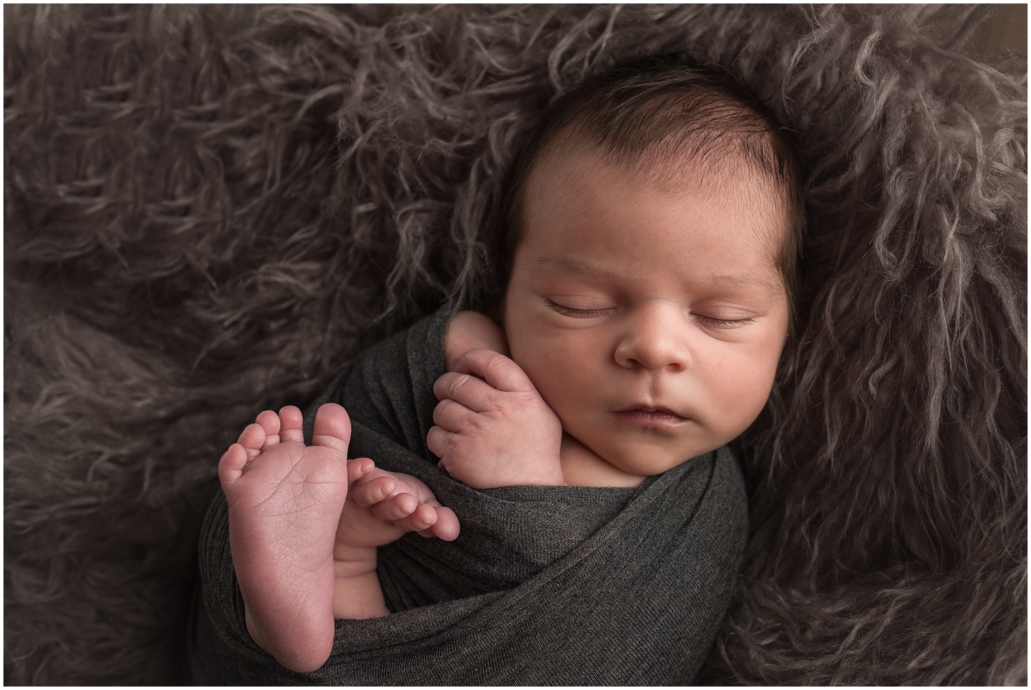 Indianapolis Newborn Photographer