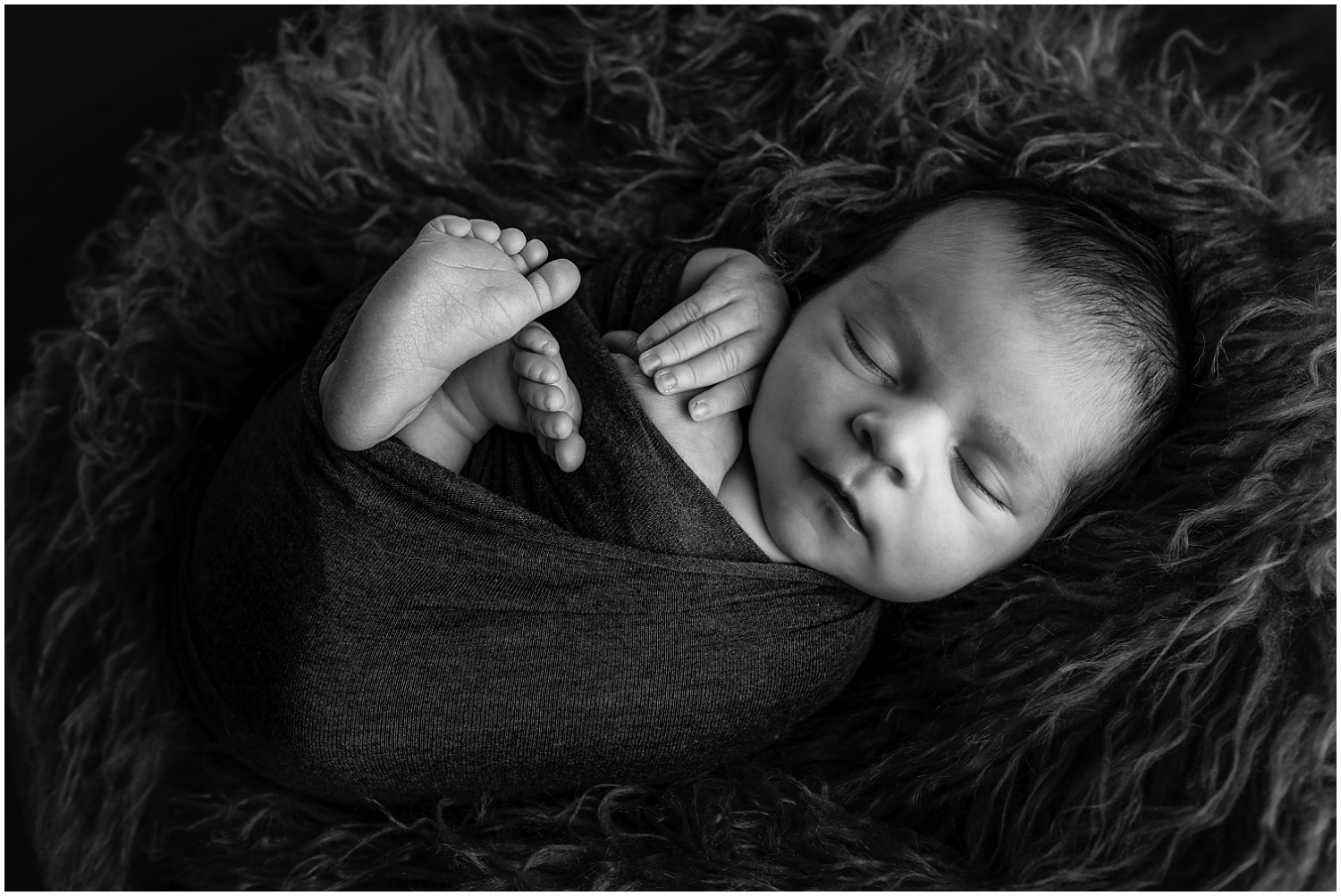 Indianapolis Newborn Photographer