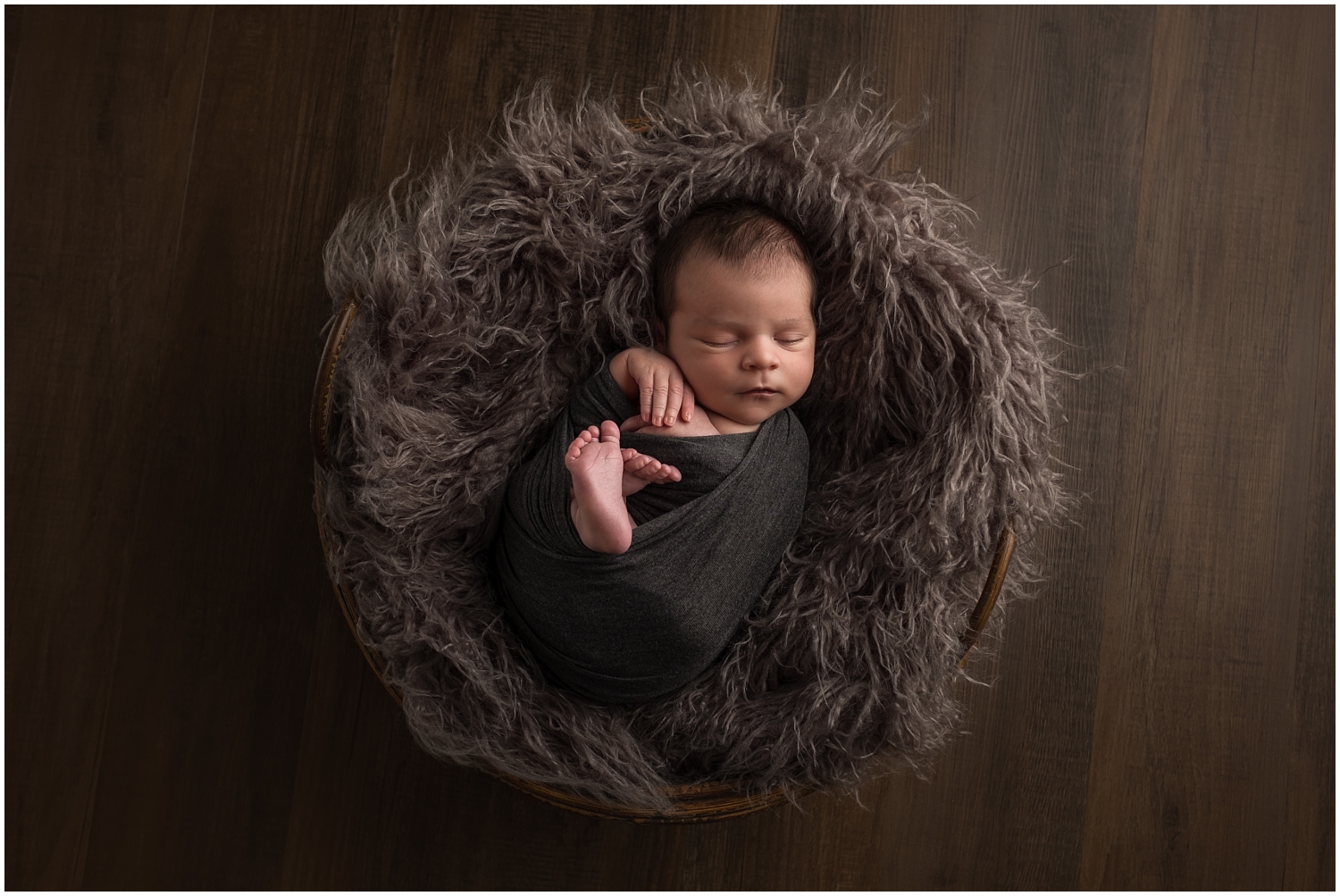 Indianapolis Newborn Photographer