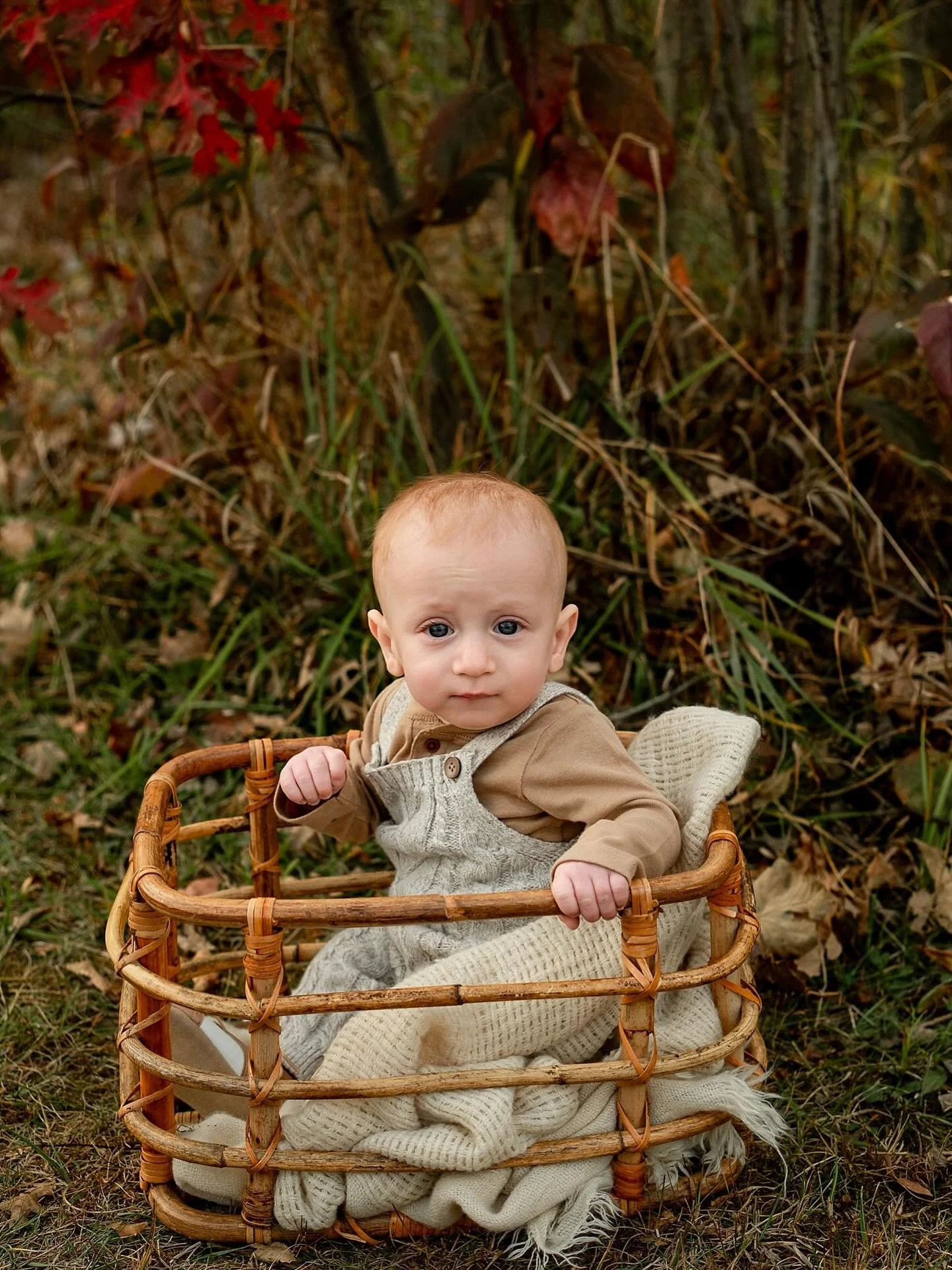 When all you want is to escape this basket so you can eat some leaves.  True story #kellymartinphotography #indianapolisfamilyphotographer #zionsvillefamilyphotographer
