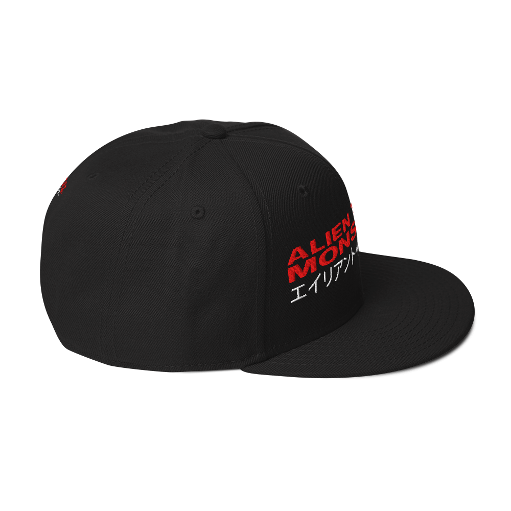 snapback-black-right-side-69b2310073cb6.png