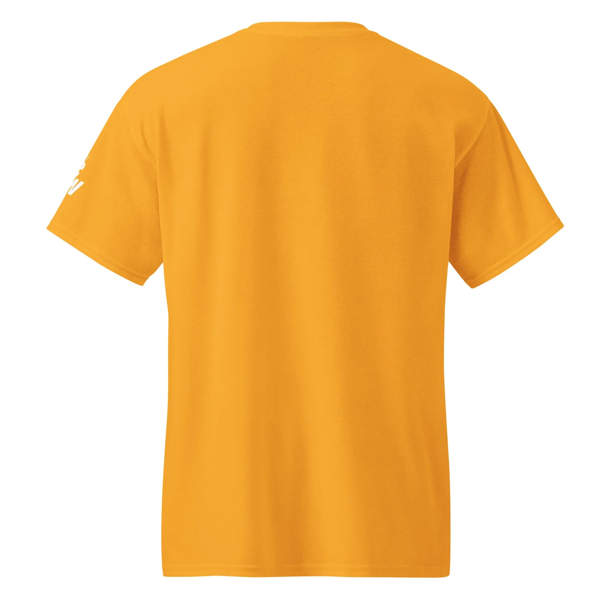 unisex-sports-tee-gold-back-69e192d7babe1.jpg