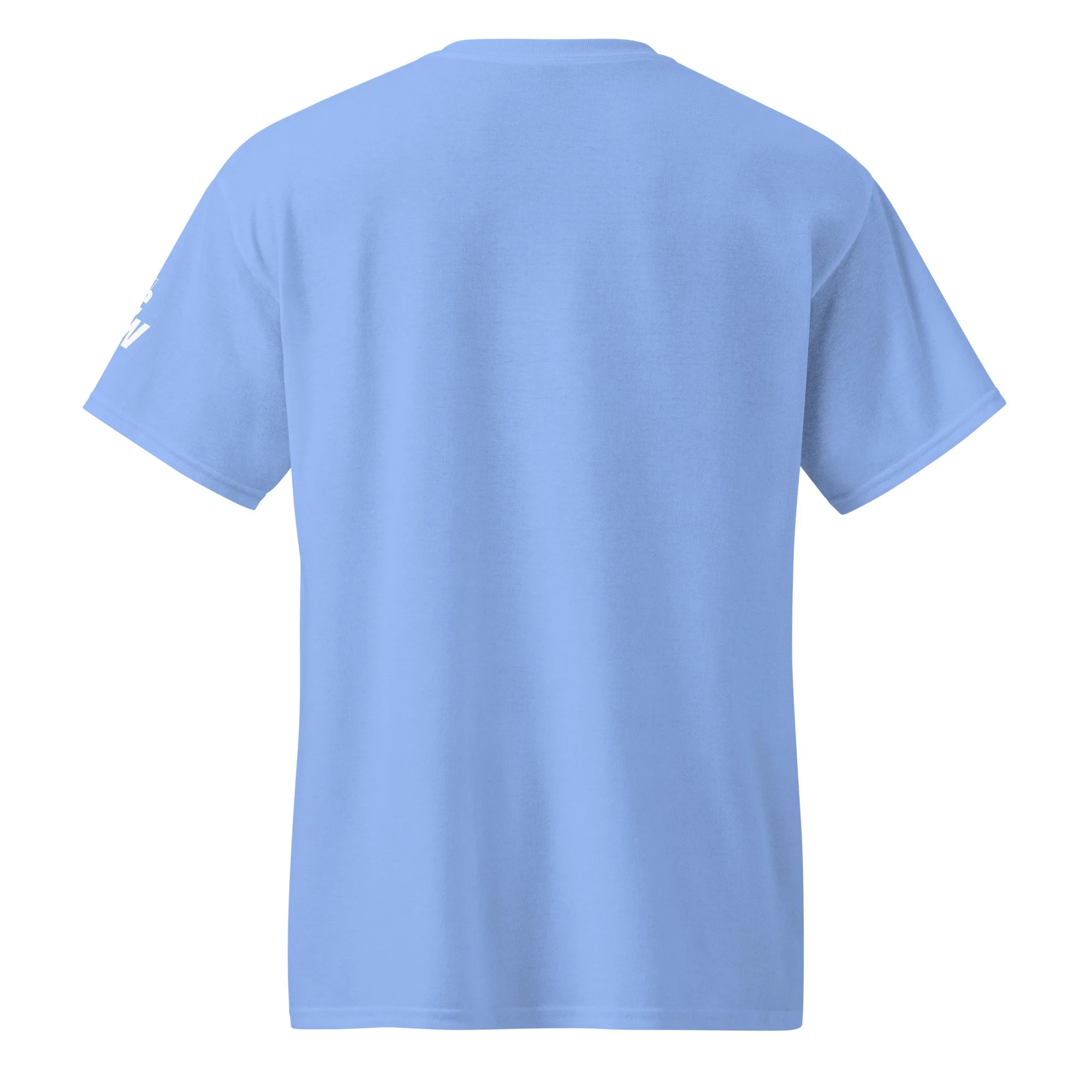 unisex-sports-tee-carolina-blue-back-69e192d7baace.jpg