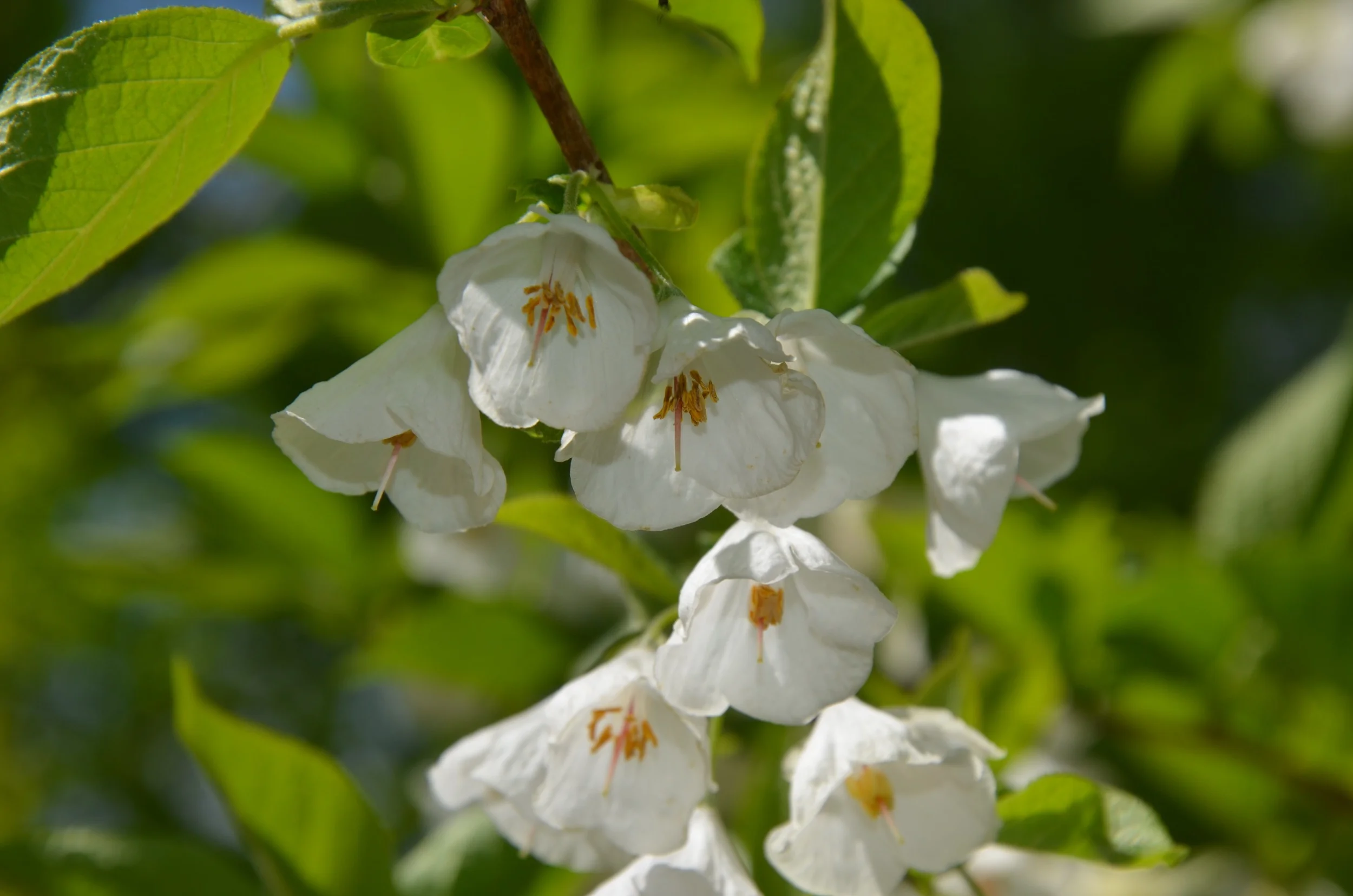 DSC_2759.jpg