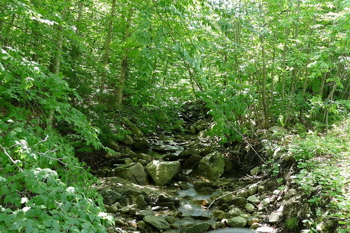 P1030931.jpg