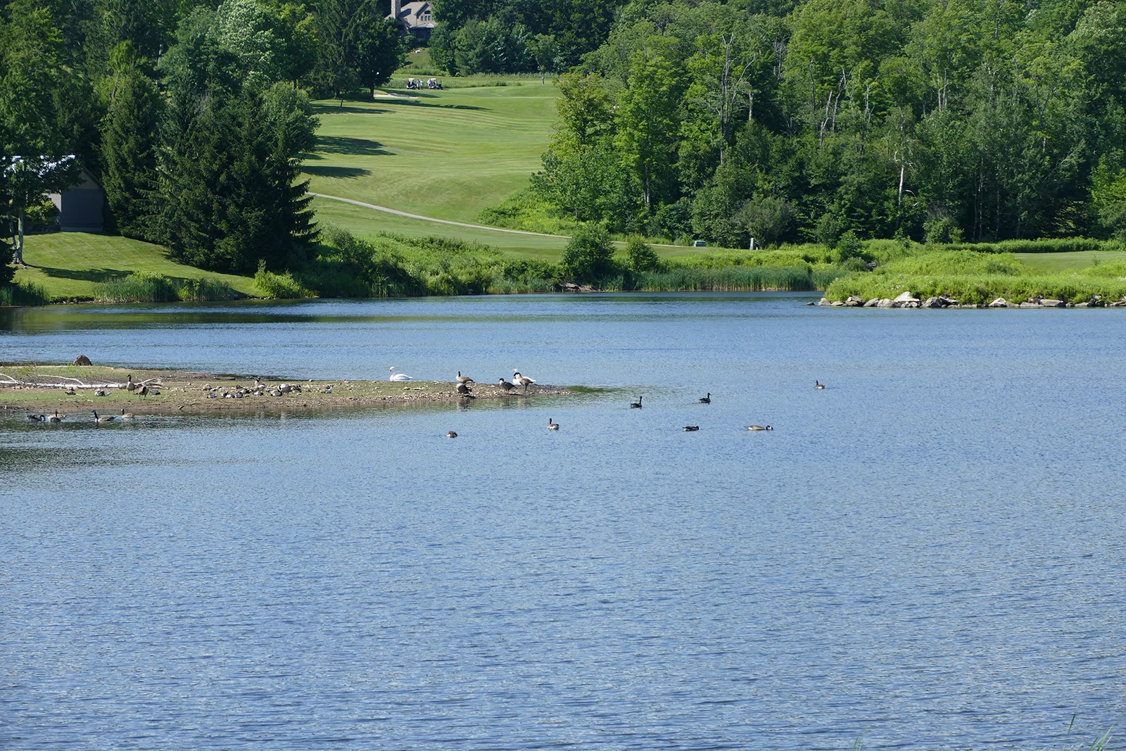 P1040013.jpg