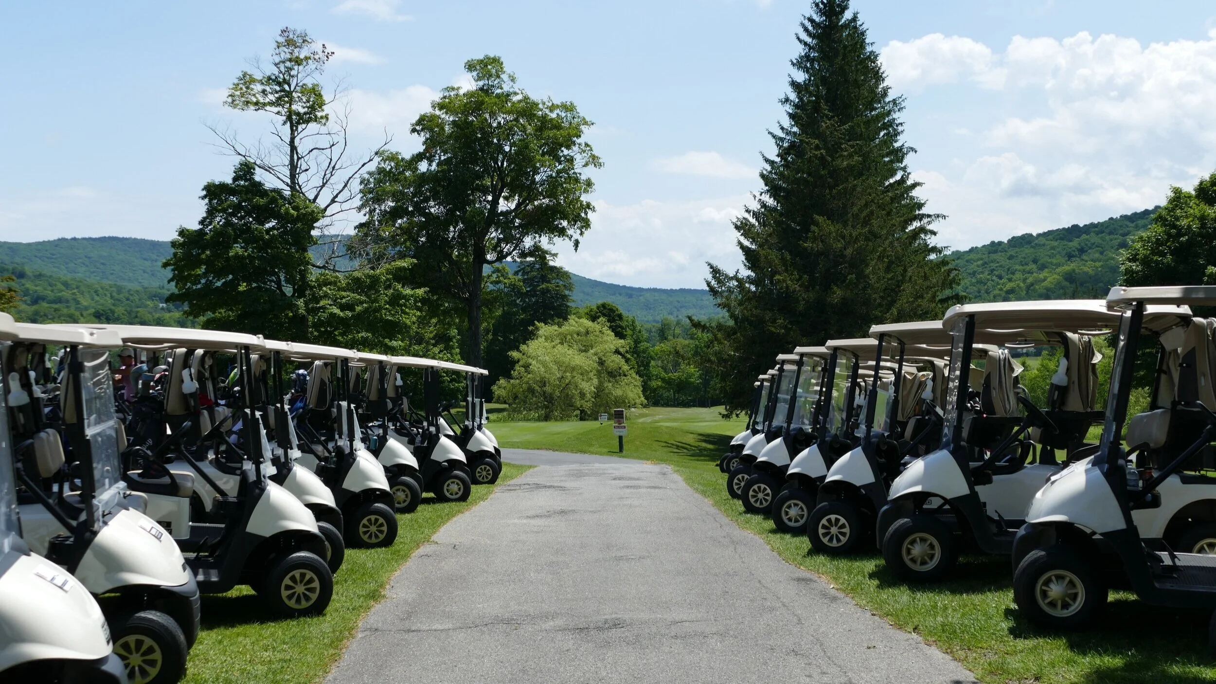 Golf Carts Main Image.jpeg