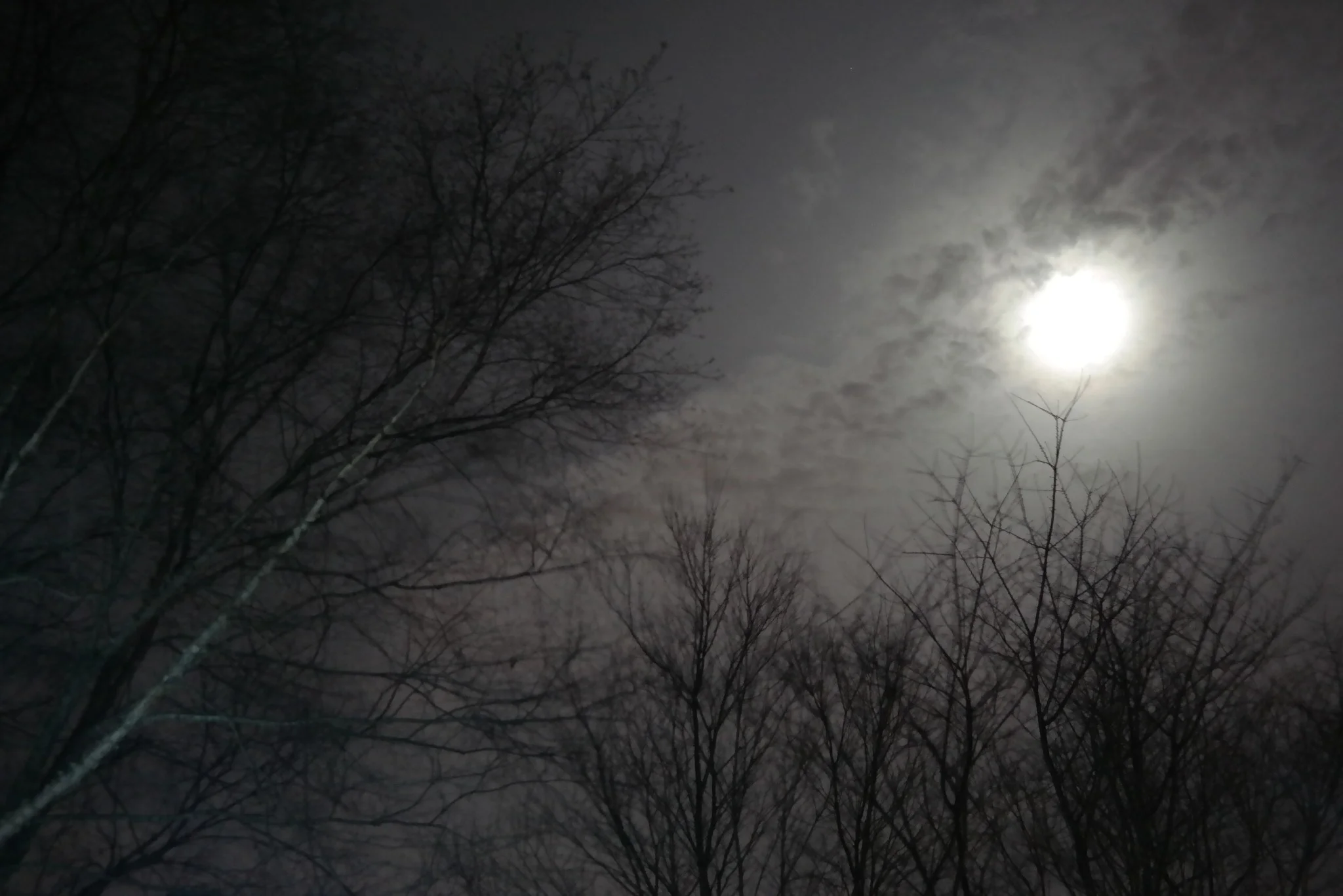 Guided Moon Sequence - Monthly on the New Moon 