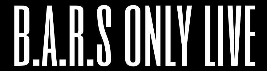 BARS ONLY FONT.jpg