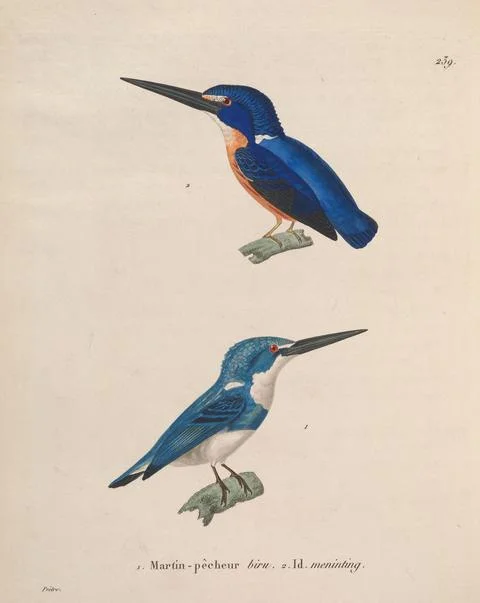 John Freeman Recommends Andrés Barba 