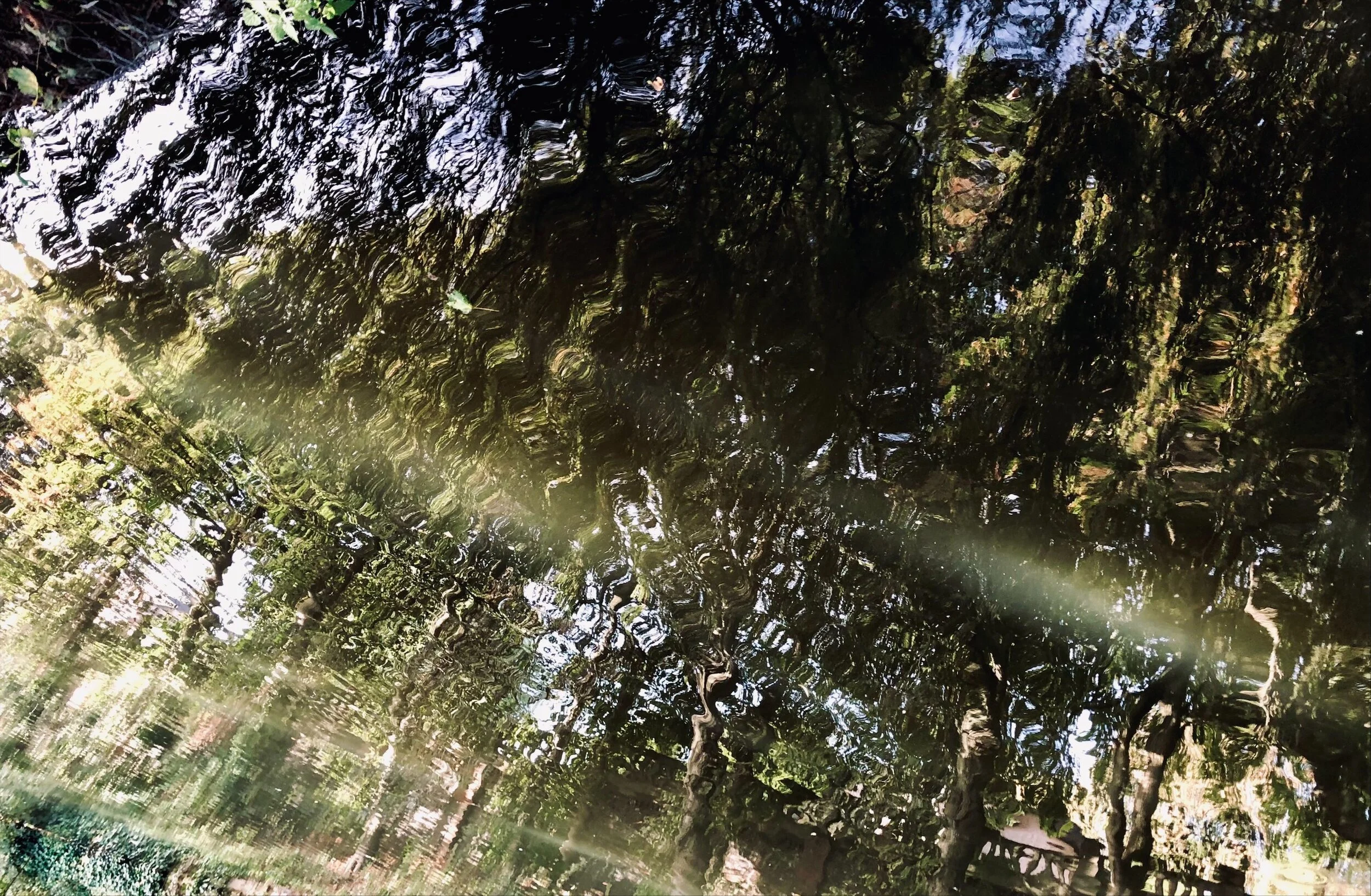 Postcard from Liverpool