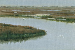 s._carolina_marsh_with_egrets.jpg