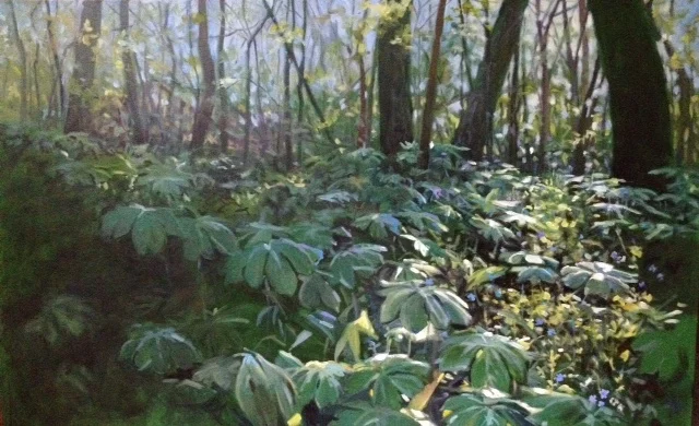 _Mayapples_ 30_x48_ oil on canvas.jpg