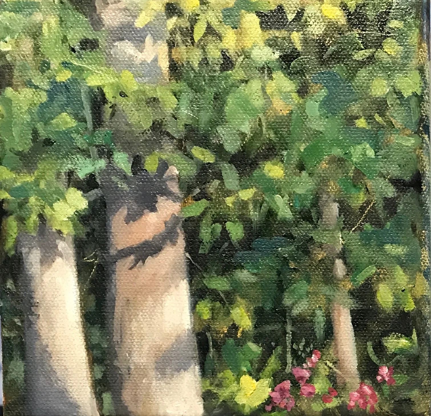 Carolyn Heffelfinger Evening Shadow 5%22x5%22 oil on canvas.jpg
