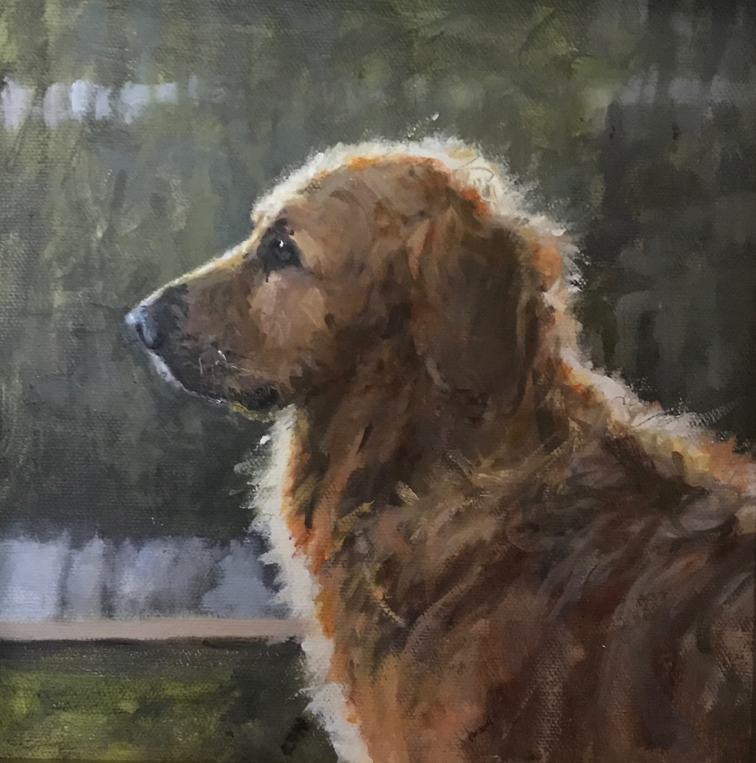 Carolyn Heffelfinger Golden Light 6%22x6%22 oil on canvas.jpg