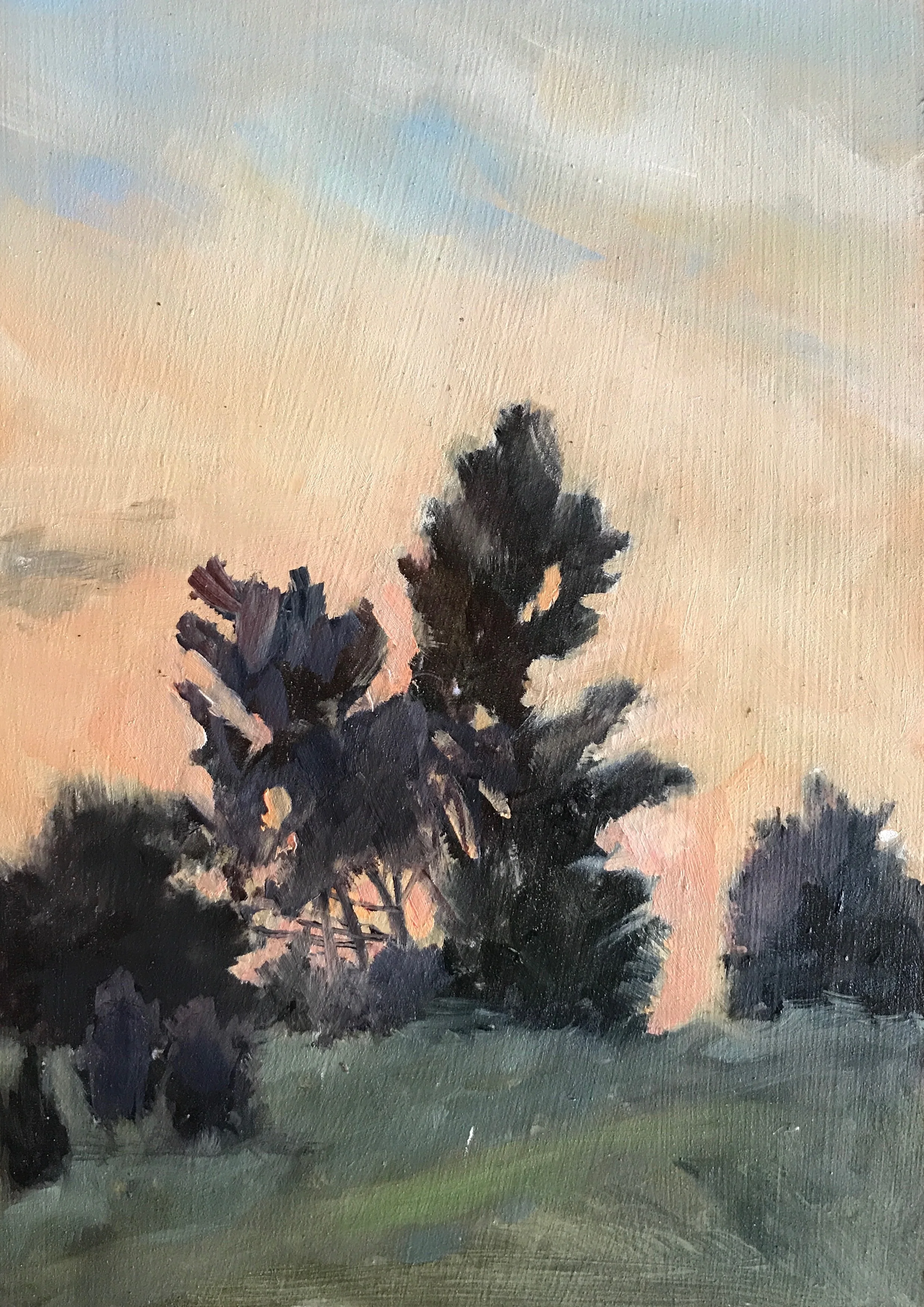 Carolyn Heffelfinger Ravonwood Sunset 5%22x5%22 oil on boardjpg.jpg