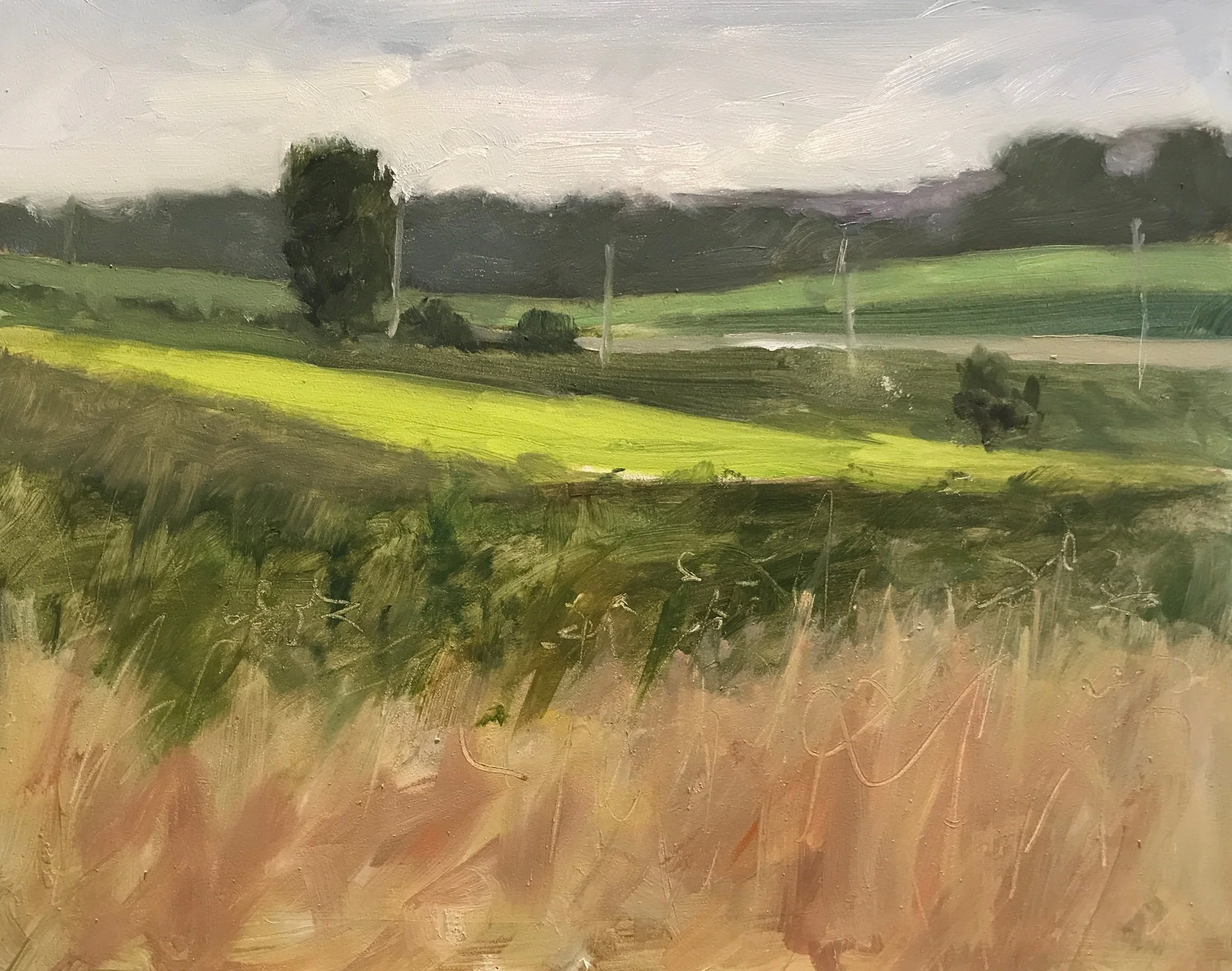 Carolyn Heffelfinger View from the Hill 10%22x8%22 oil on board.jpg