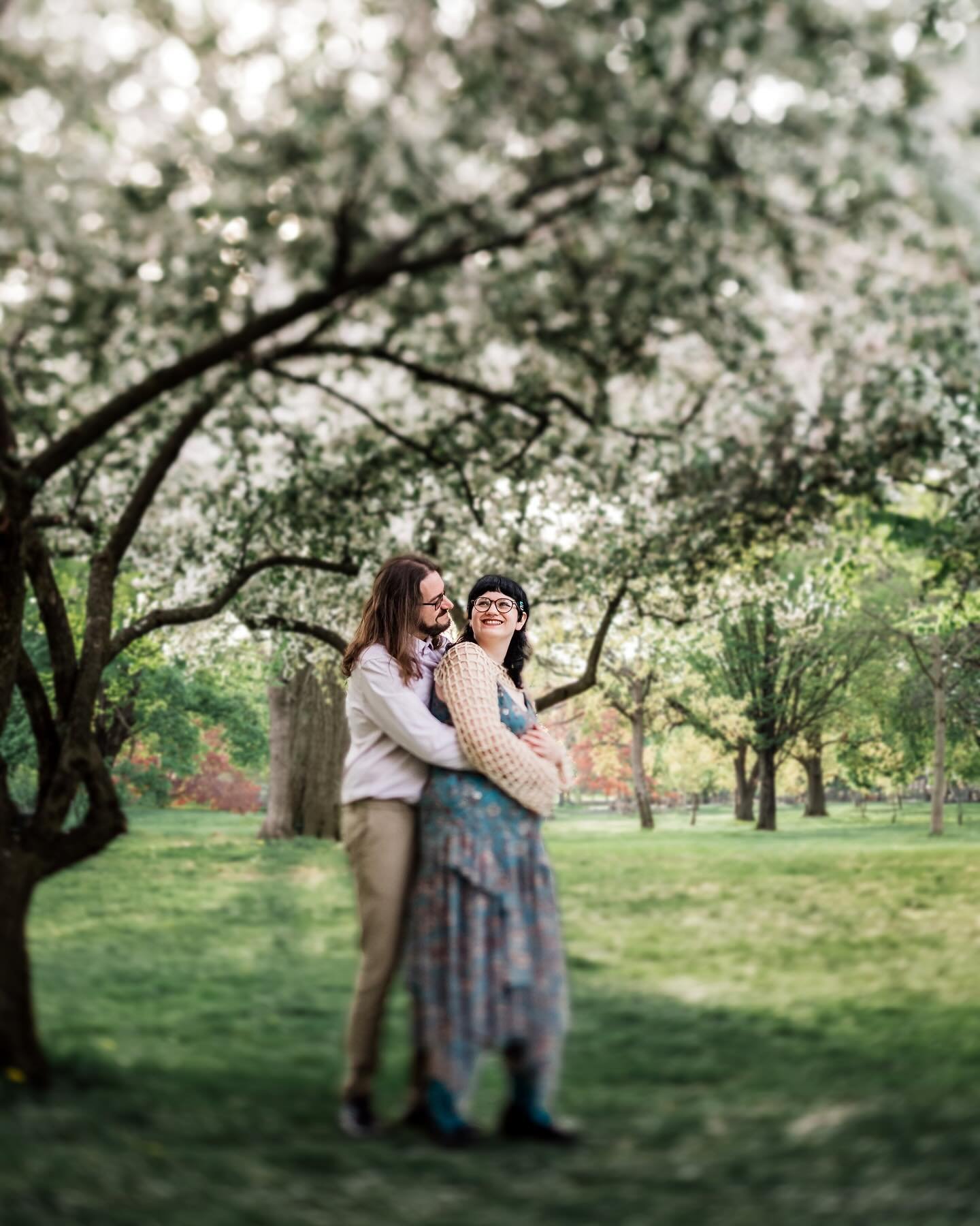 Love blossoms like flowers in the sunlight 🌸☀️ Capturing Maeve and Dylan&rsquo;s radiant joy at Washington Park. 

#EngagementMagic #WashingtonParkMoments

 #WashingtonPark #SpringVibes #CountdownToWedding
#WeddingSeason #kalzphotography #catskillsw