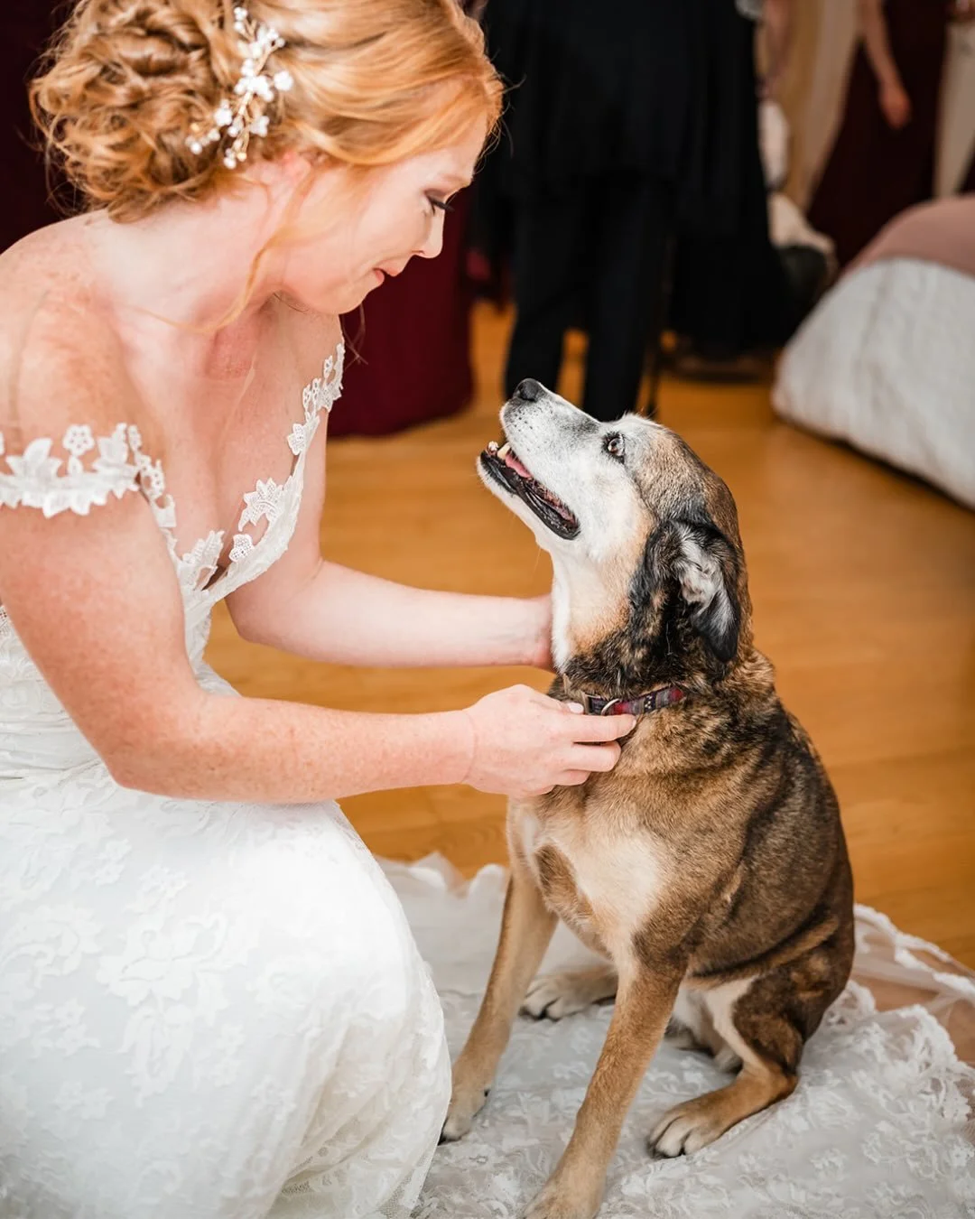 Engagement sessions and/or weddings with your four-legged family?
Always a yes from me 🐾
They&rsquo;re part of your story too. ❤️