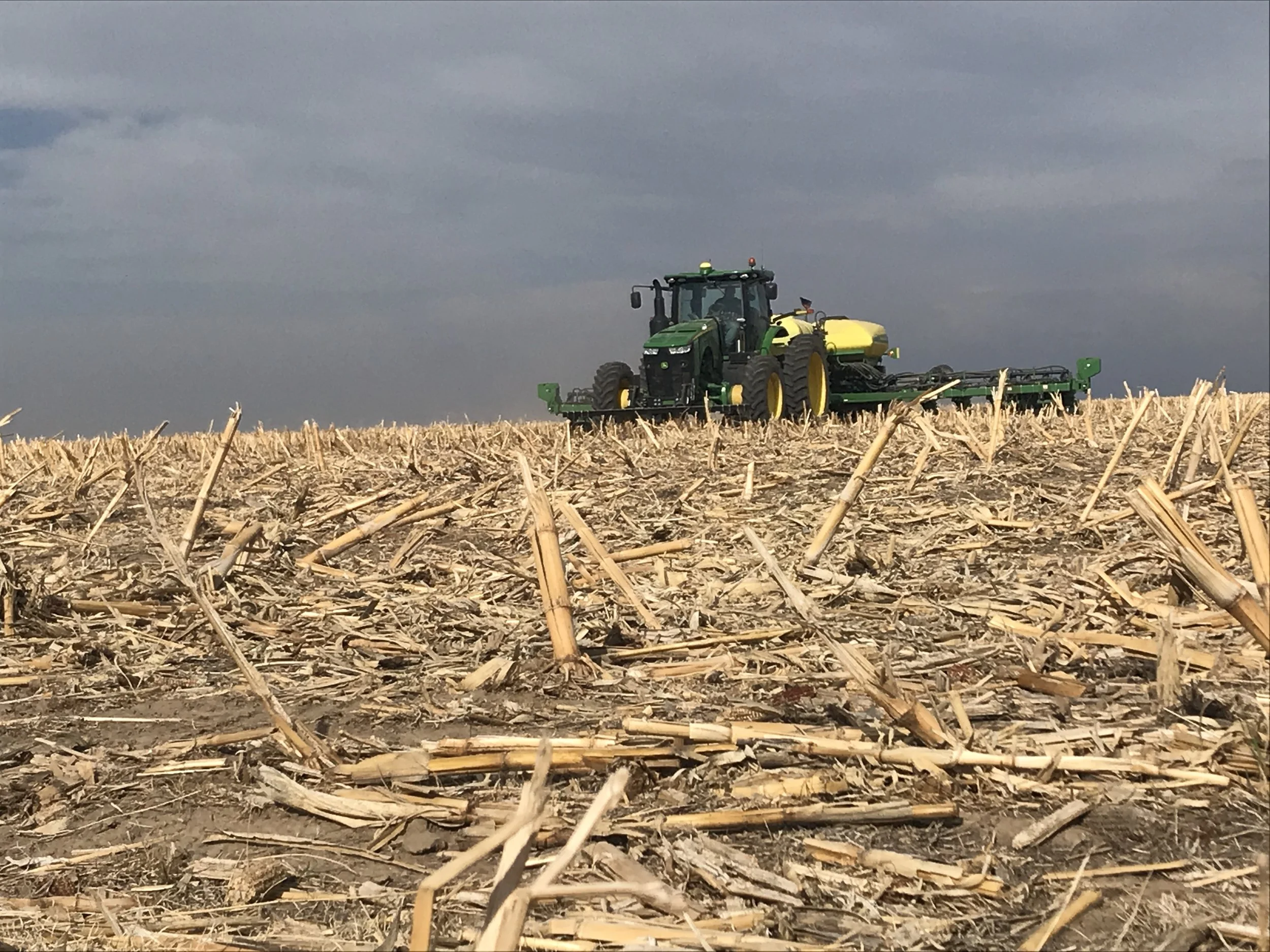 Planting 1.JPG