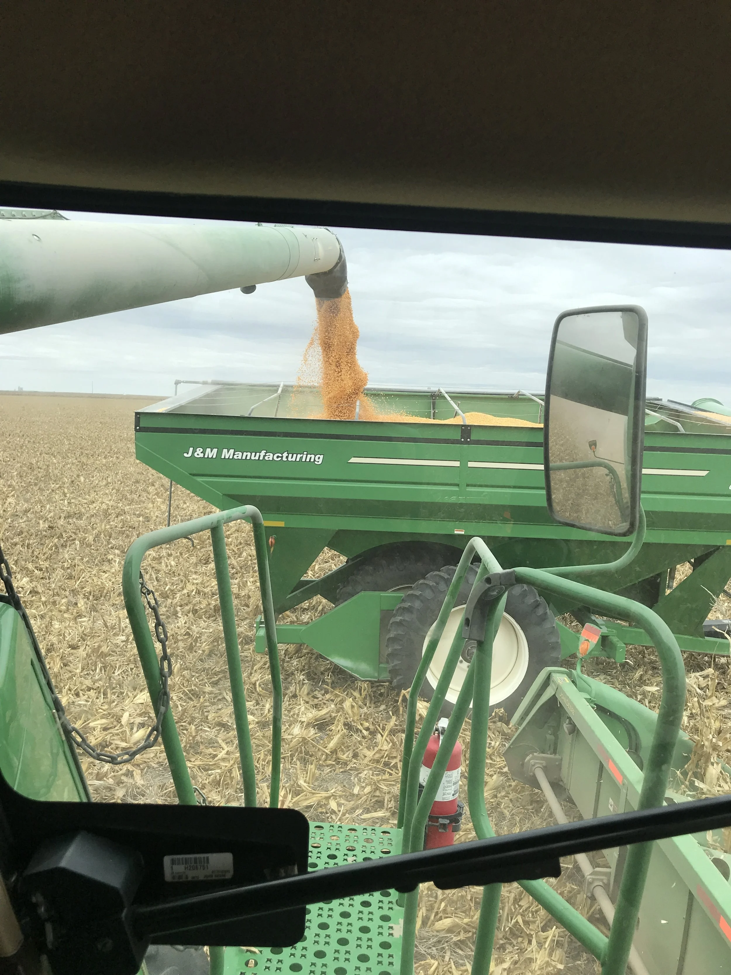 Corn Harvest 1.JPG