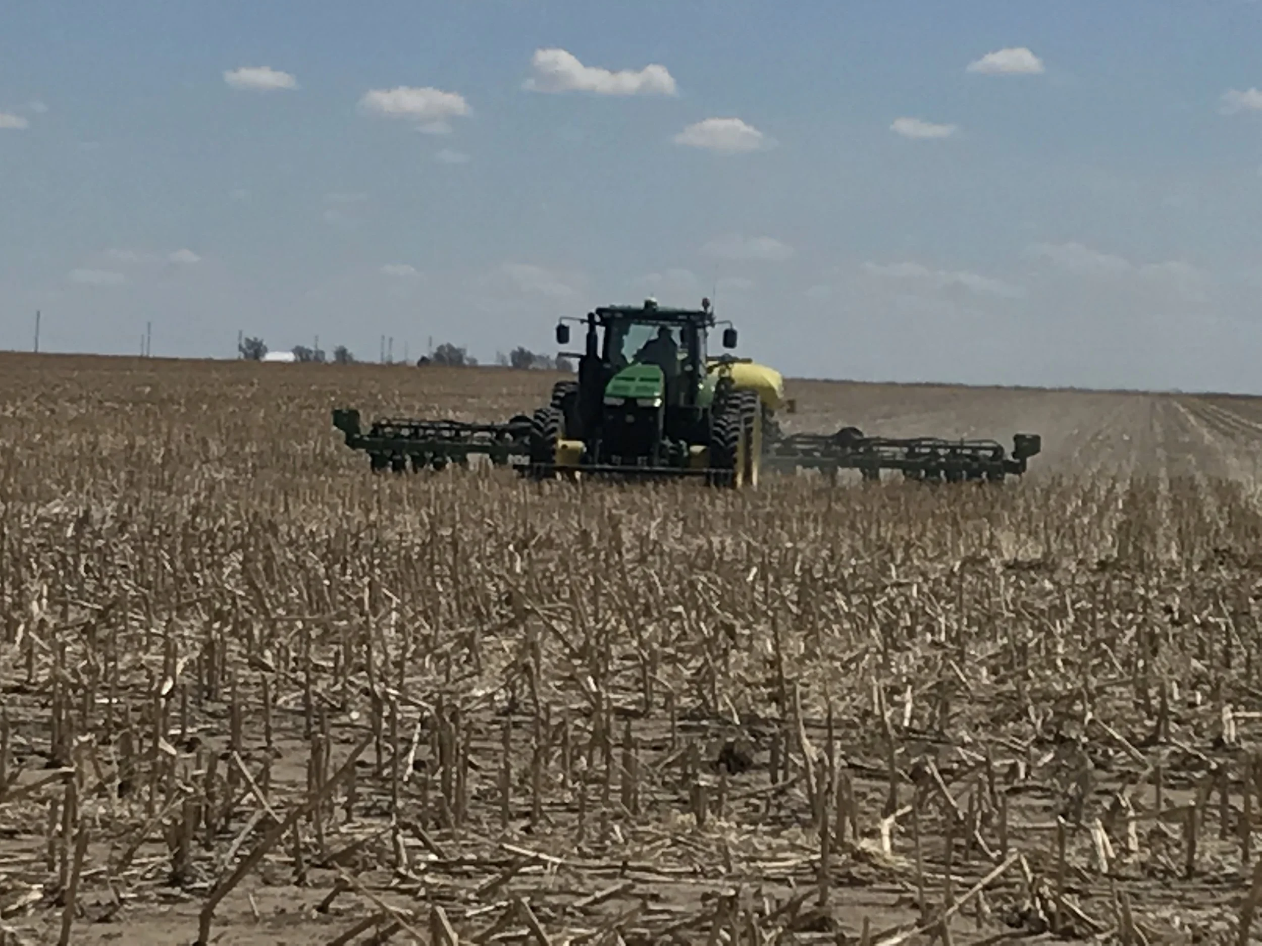 Planting 2.JPG
