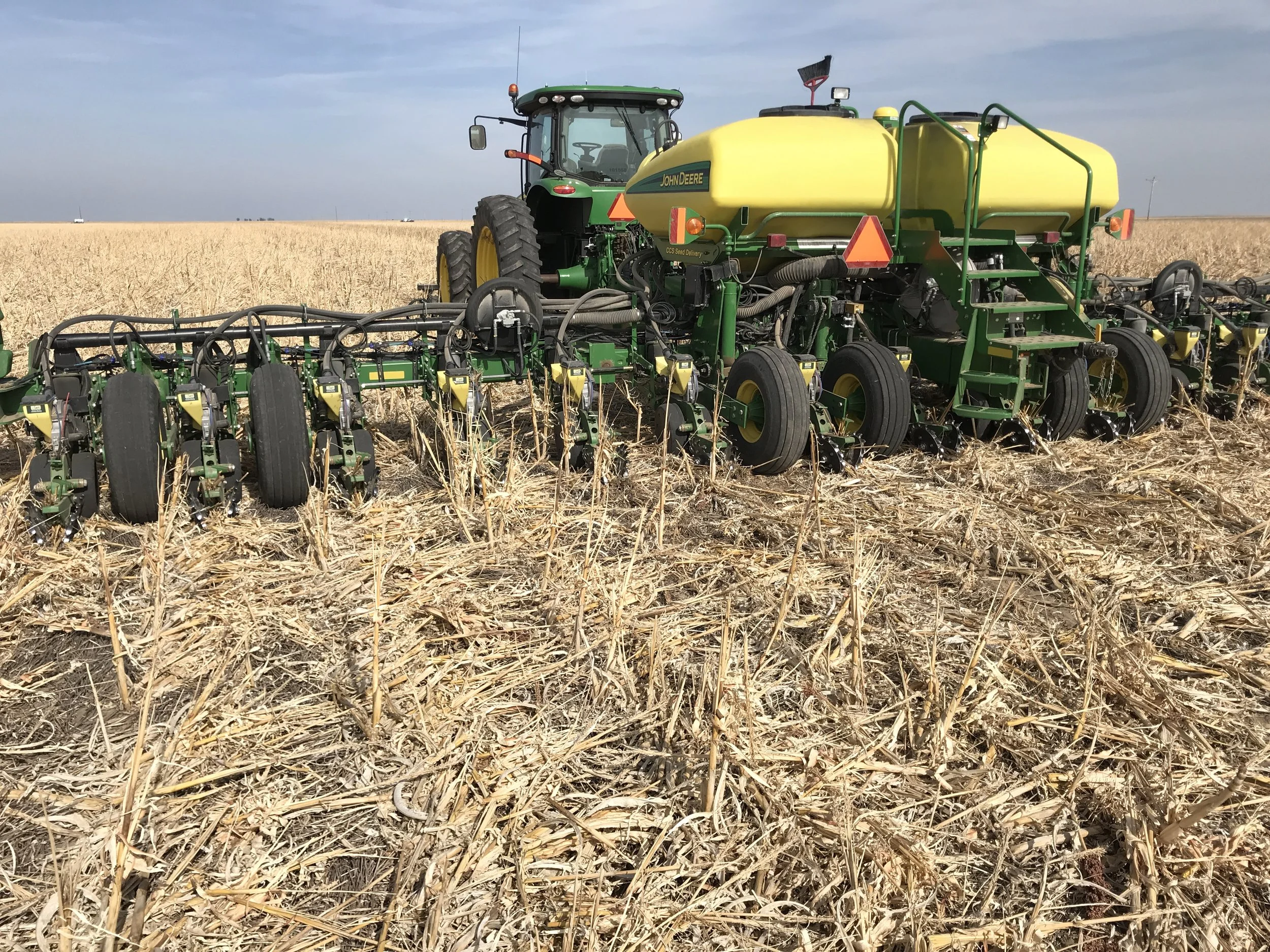 Planting 3.JPG