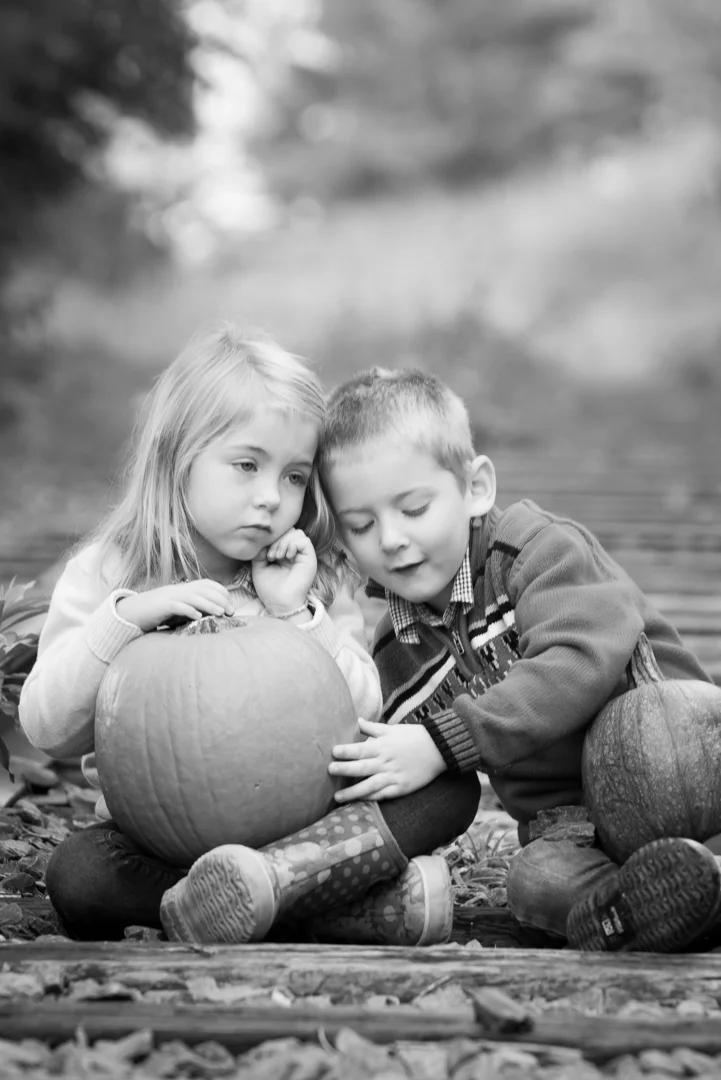 20161002 Naomi Lucienne Photography-340-2.jpg