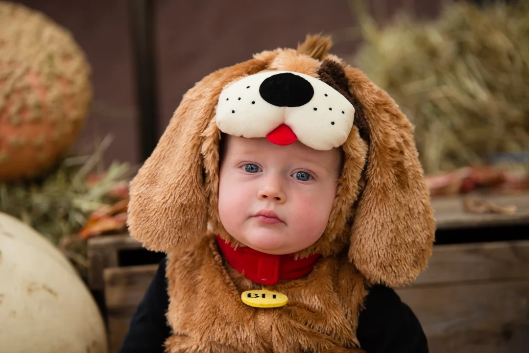 20161029 Naomi Lucienne Photography-261.jpg