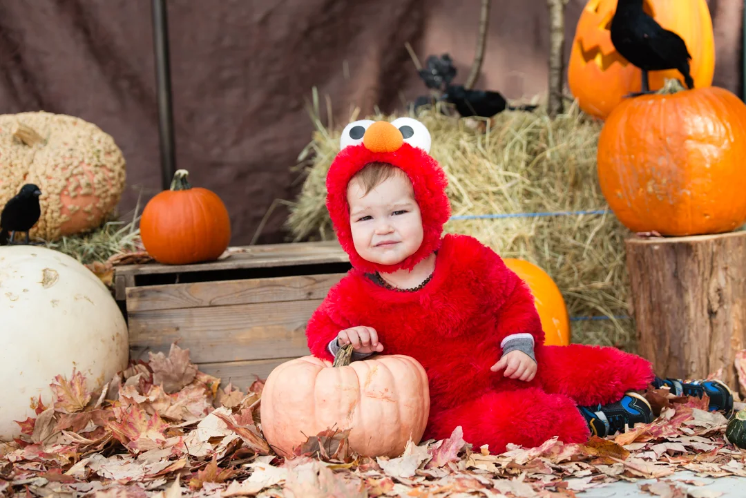 20161029 Naomi Lucienne Photography-638.jpg
