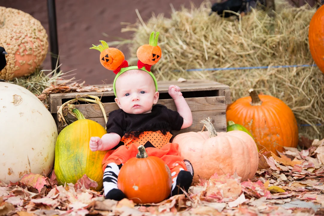 20161029 Naomi Lucienne Photography-722.jpg